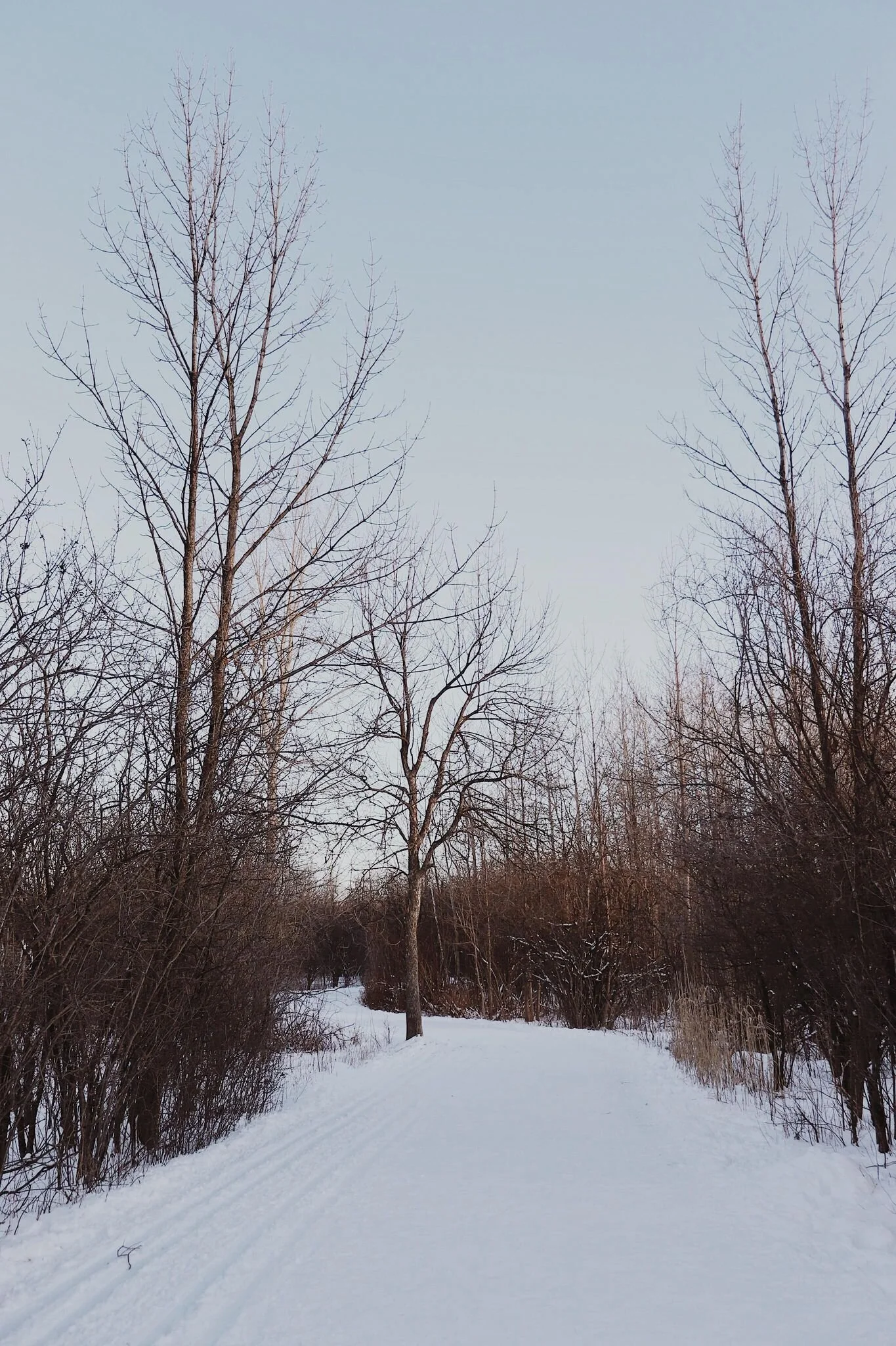 [Montréal, Pointeauxtrembles] Parc nature de la Pointeauxprairies, secteur de l’Héritage