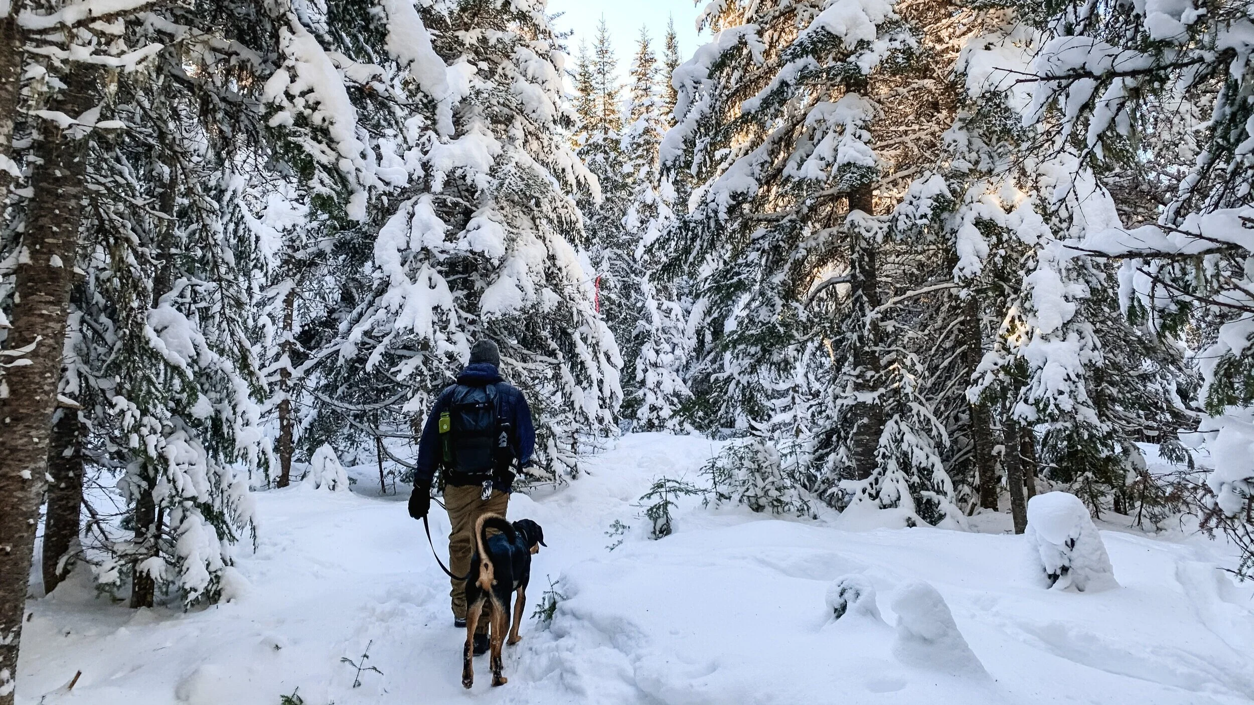 [Québec, Sainte-Brigitte-de-Laval] Réserve faunique des Laurentides