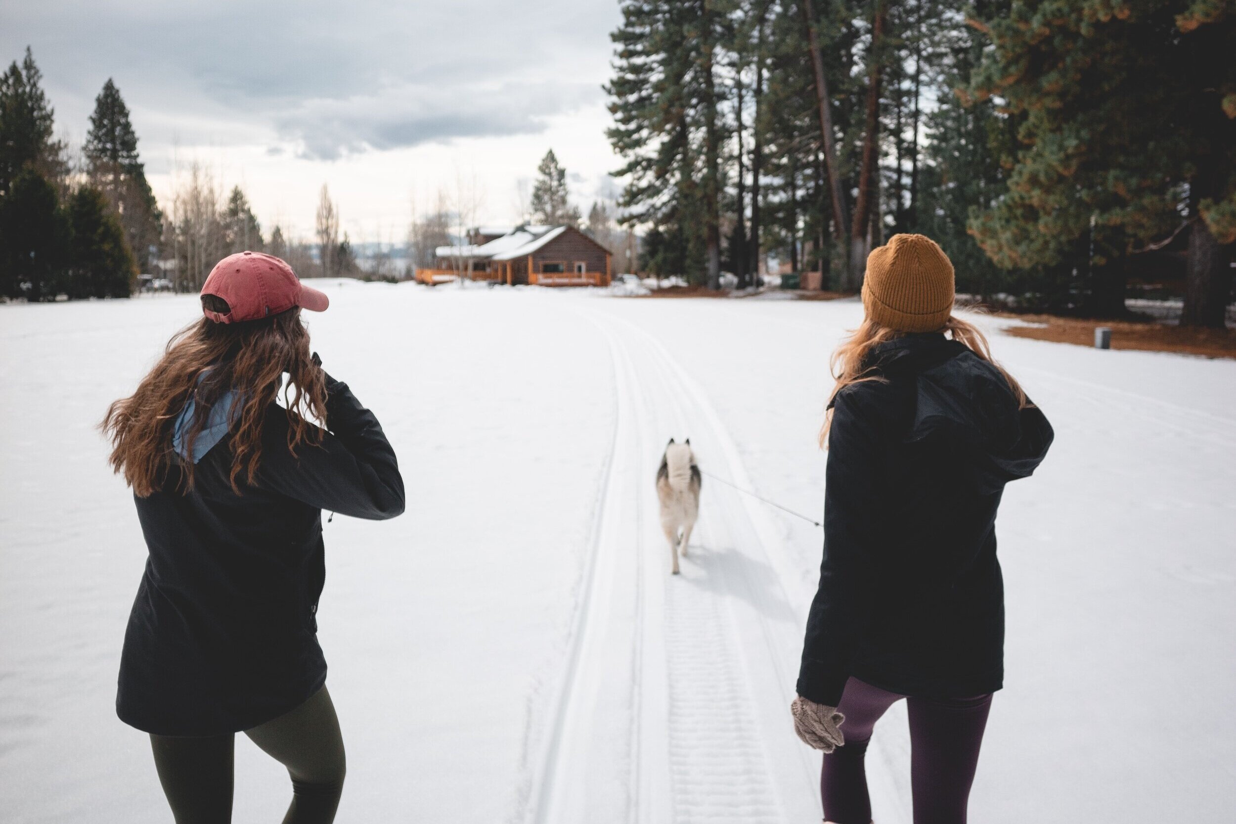 6 randonnées à découvrir avec son chien