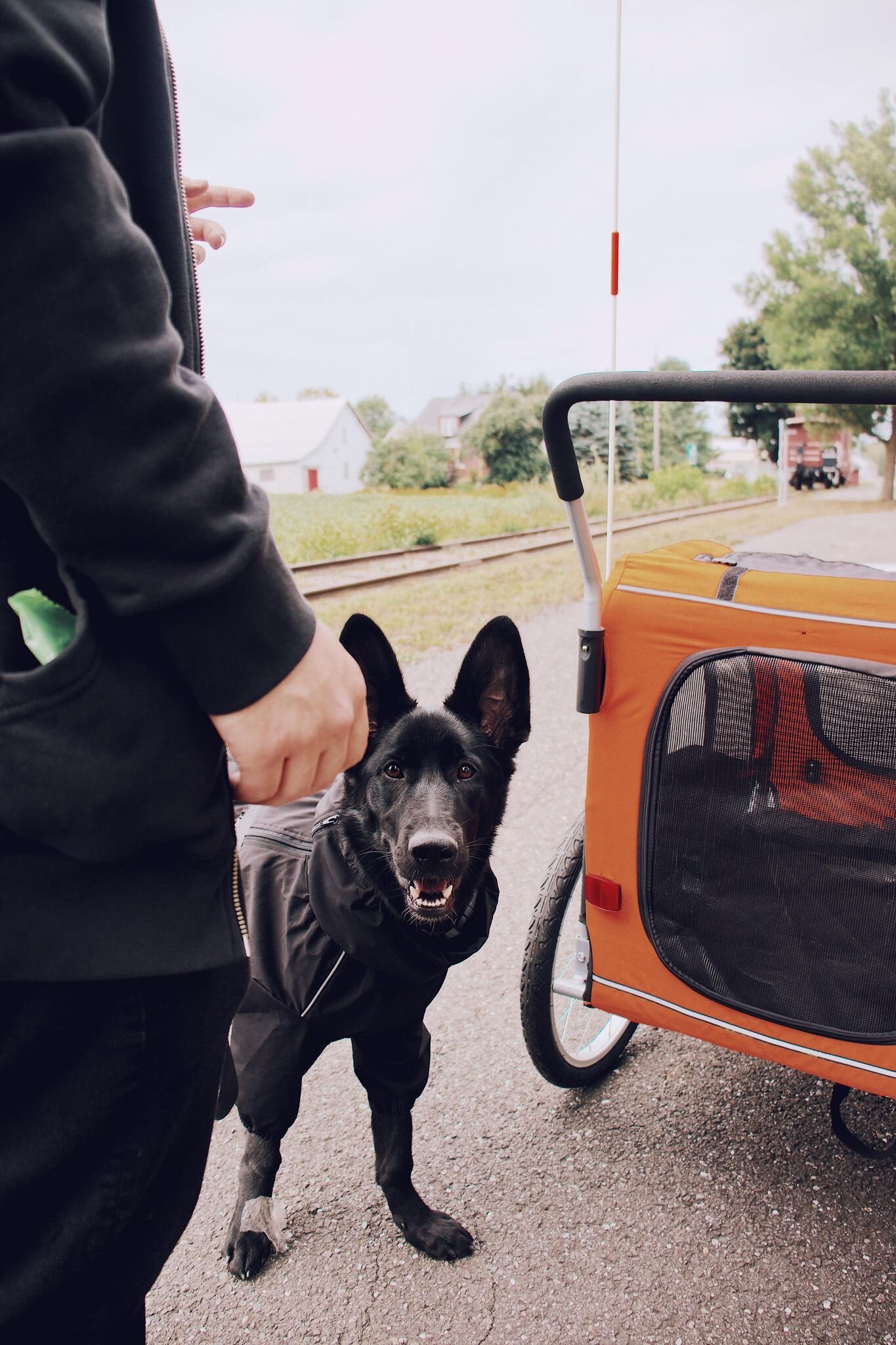 Chariot Doggo Bike™ - Remorque pour vélo et/ou poussette — On va se  promener?