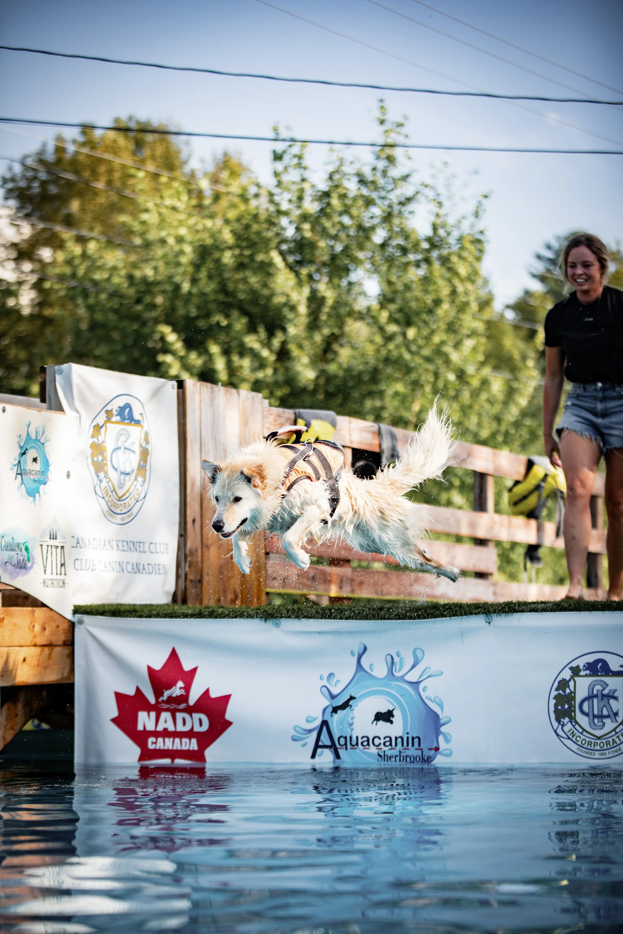 [Estrie, Sherbrooke] Aqua canin Sherbrooke