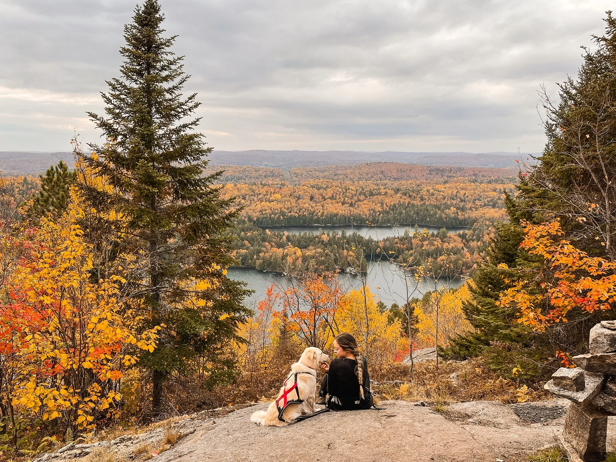 N'ACCEPTE PLUS LES CHIENS [Laurentides, Labelle] Cap du 360, Mont Caribou