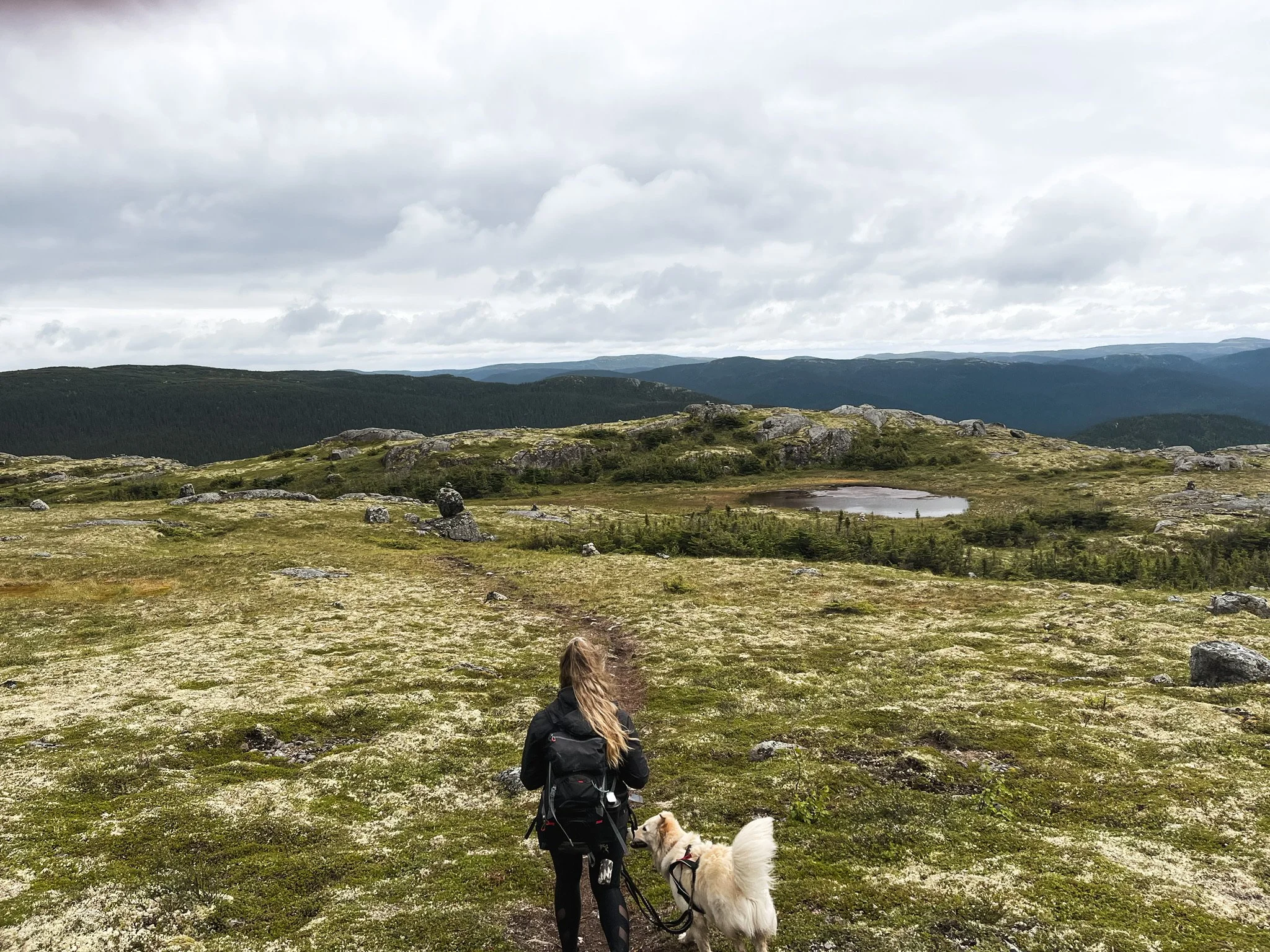[Côte-Nord, Caniapiscau] Parc Des Monts Uapishka, Mont Groulx, Mont Harfand