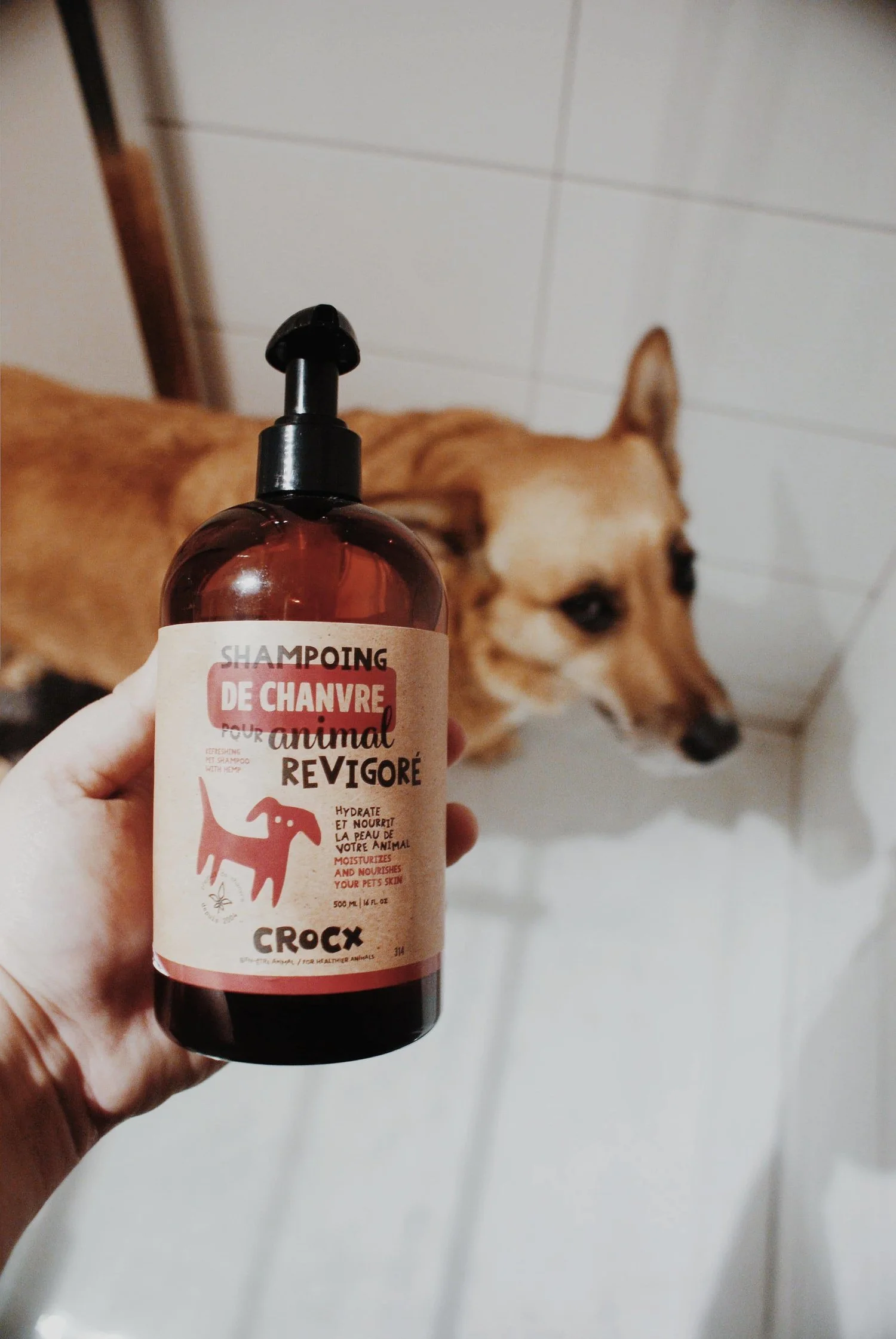 Shampoing au chanvre Crocx
