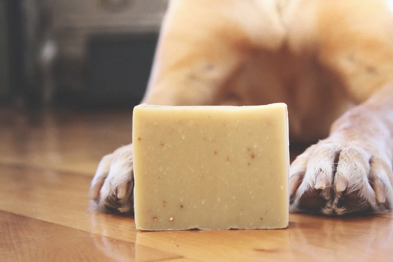 Savon pour chien Milca