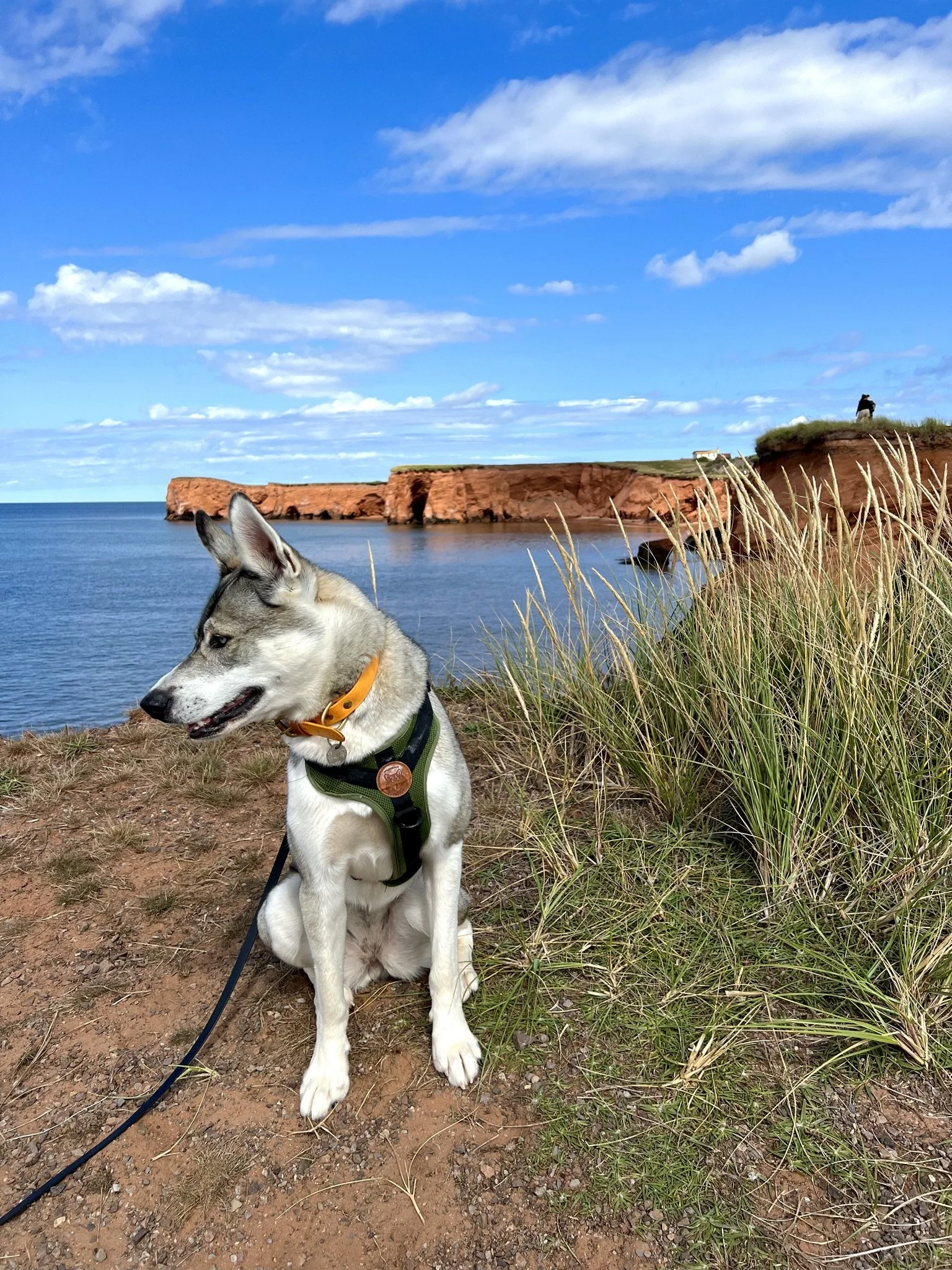[Îles-de-la-Madeleine] Belle-Anse