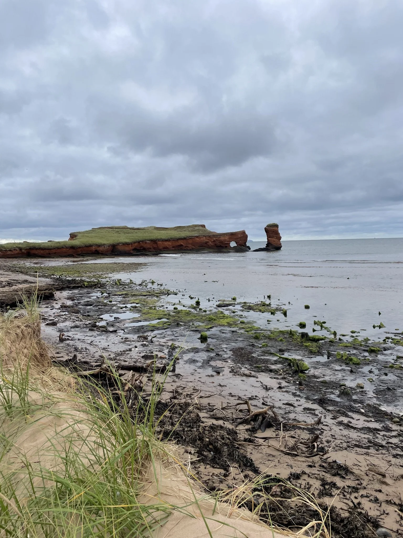 [Îles-de-la-Madeleine] Plage de La Pointe - Plage du Cap à Isaac