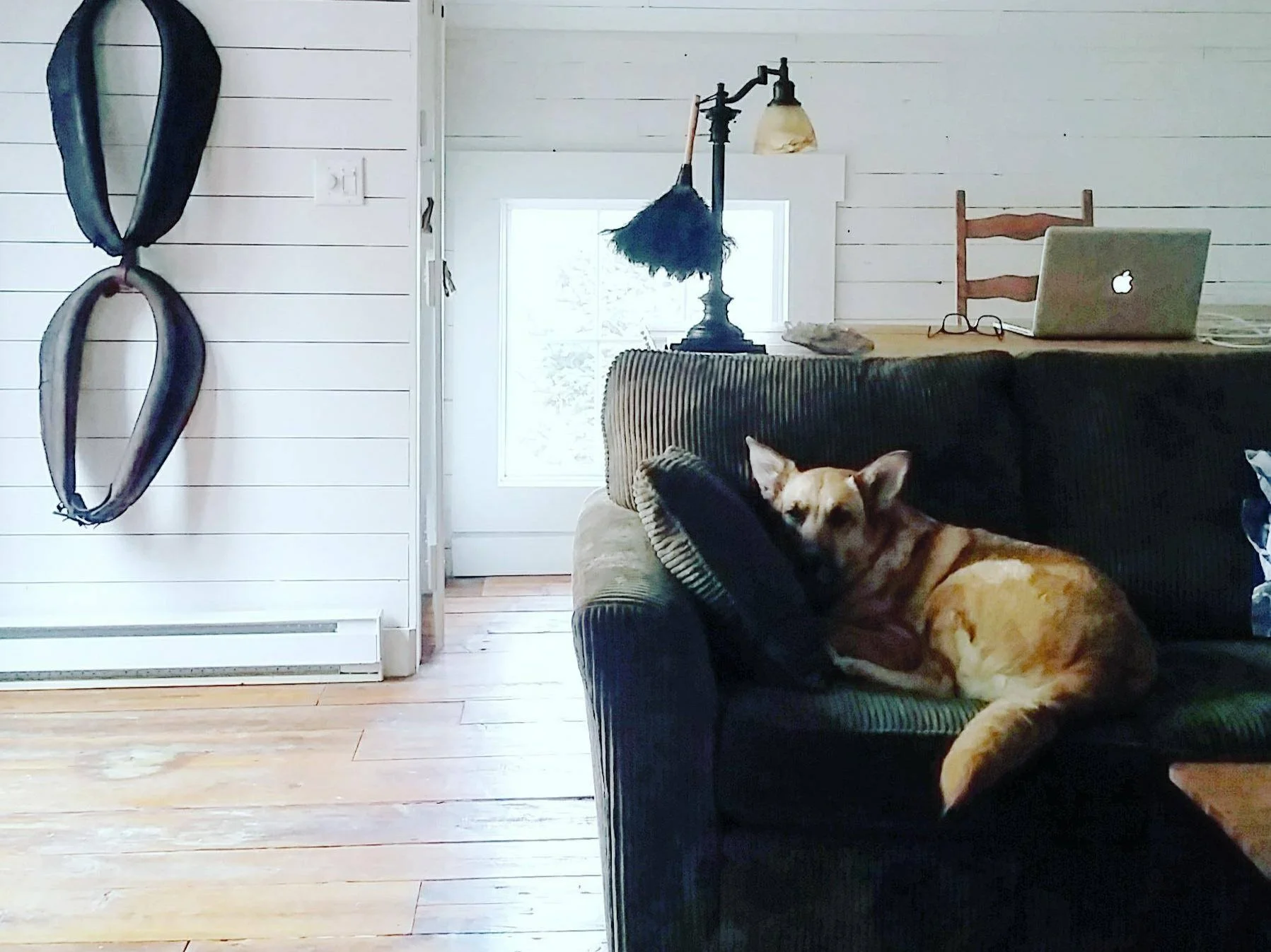 CHALET N'EST PLUS EN LOCATION [Estrie, Ayer's Cliff] Barn Ayer’s 