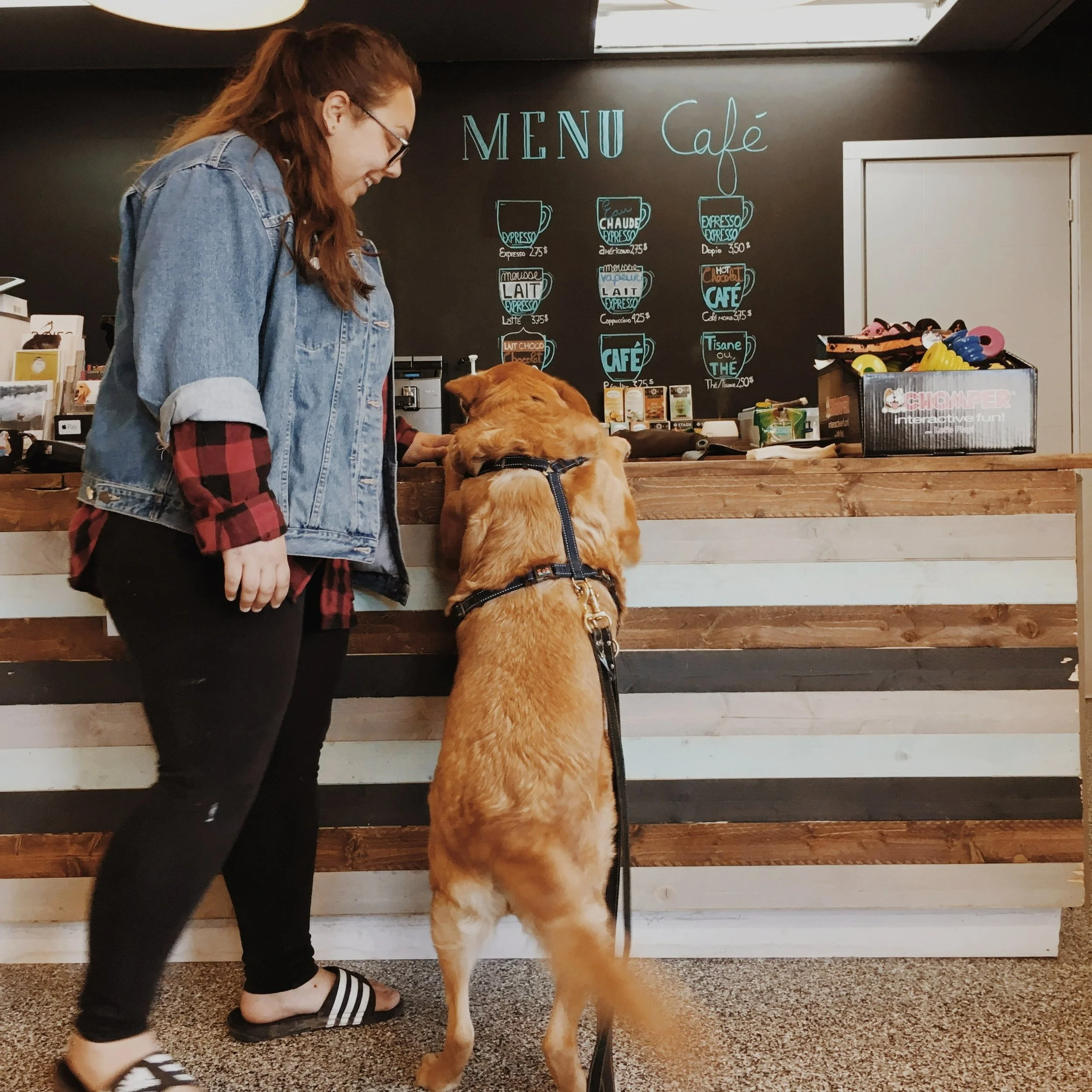 FERMETURE DU CAFÉ DEPUIS 2022 [Qc, Québec] Café Ô Poils