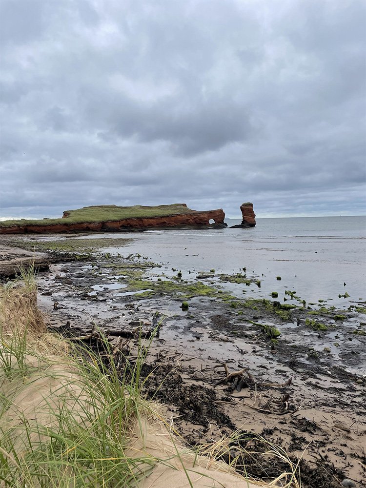 iles-de-la-madeleine_onvasepromener_quebec_chien (5).jpg