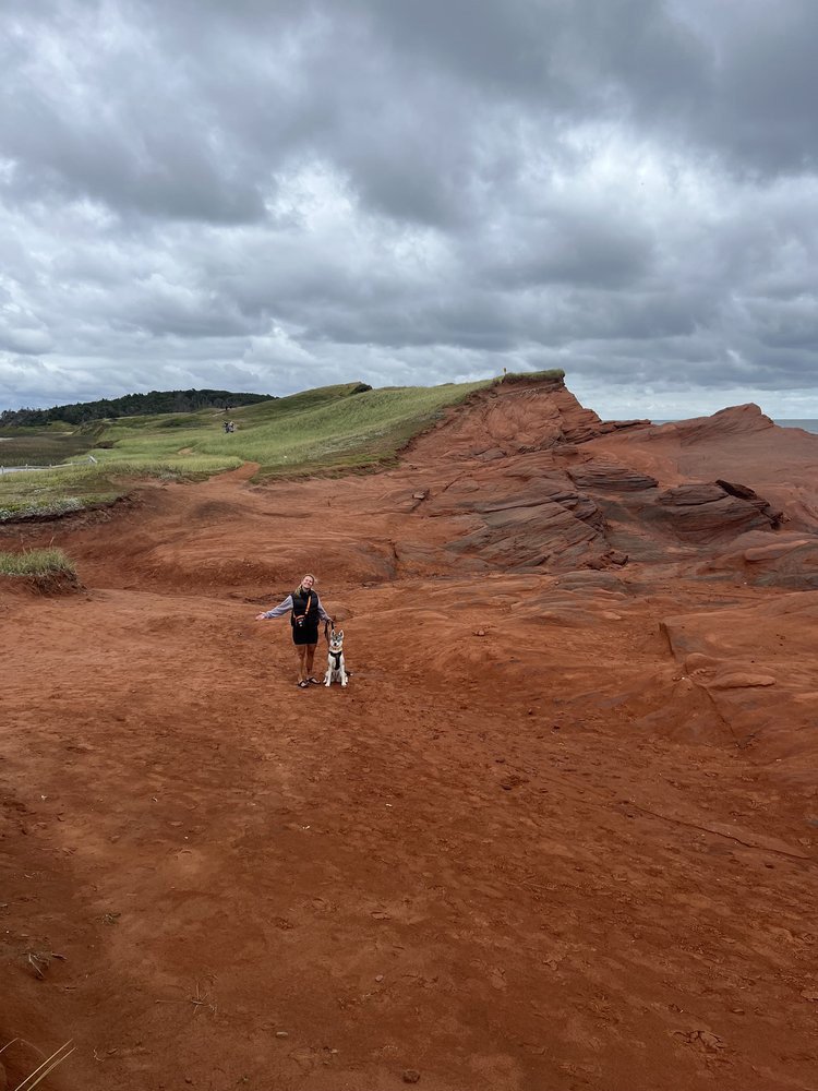 iles-de-la-madeleine_onvasepromener_quebec_chien (1).jpg