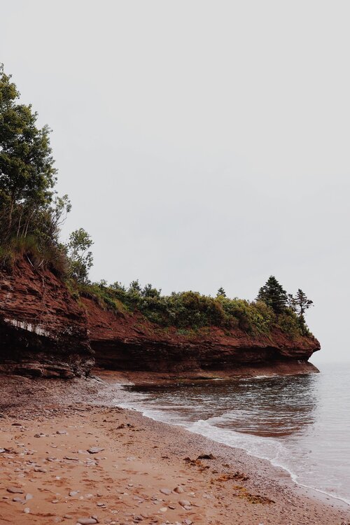 gaspesie_chien_onvasepromener_activite_sentier_randonnée (12).jpg