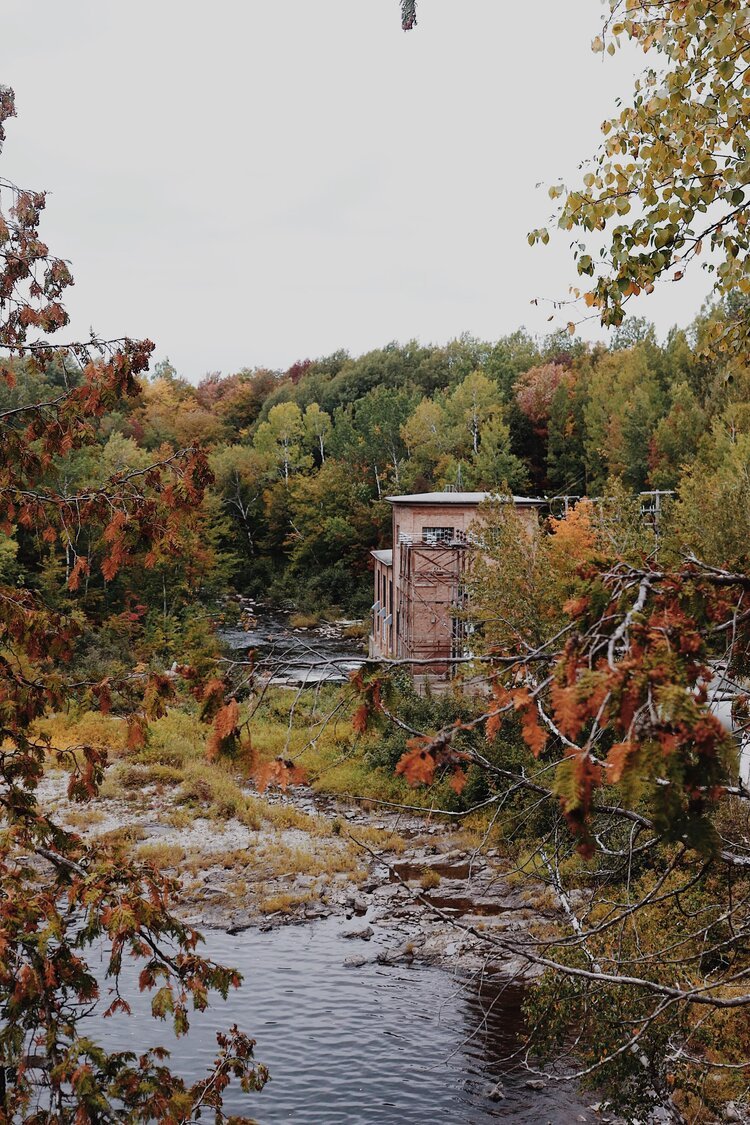 chaudière-appalaches_chien_onvasepromener_sentier_randonnée (6).jpg