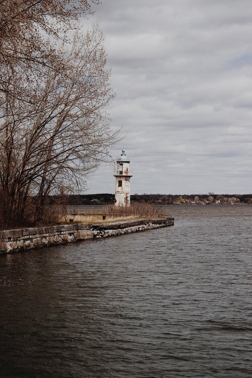 monteregie_chien_onvasepromener_sentier_activité_randonnée (14).jpg