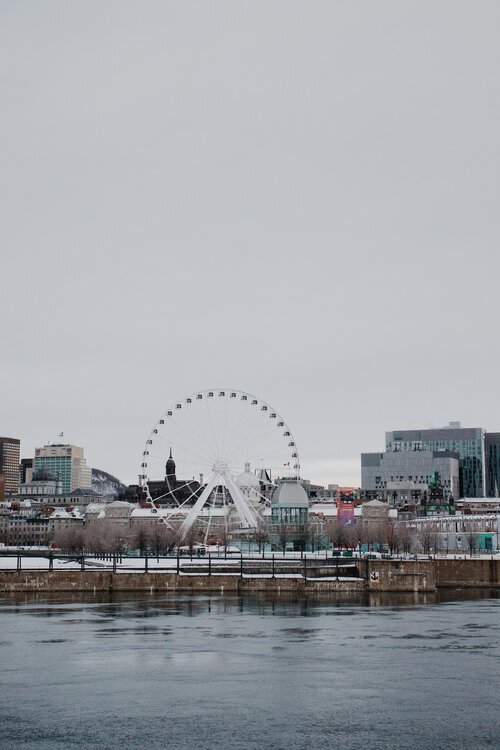 montreal_chien_onvasepromener_sentier_activité (33).jpg