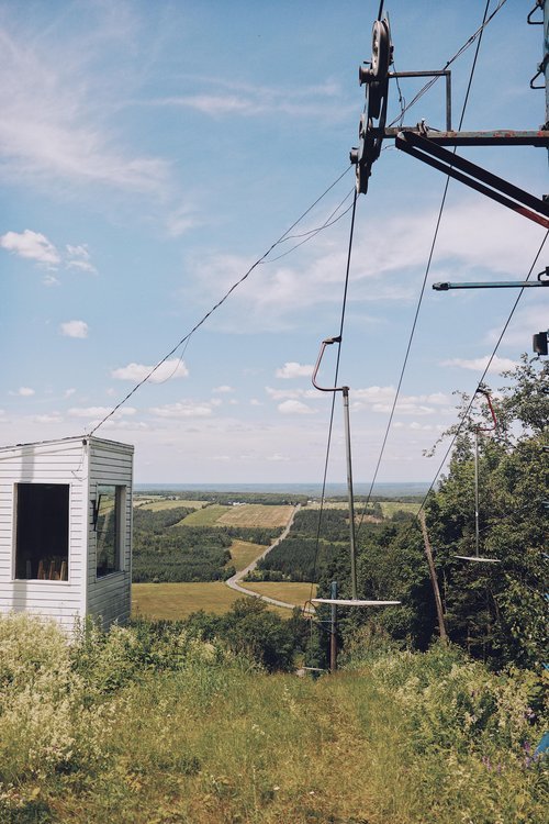 centre-du-quebec_chien_onvsepromener_sentier_randonnée (13).jpg