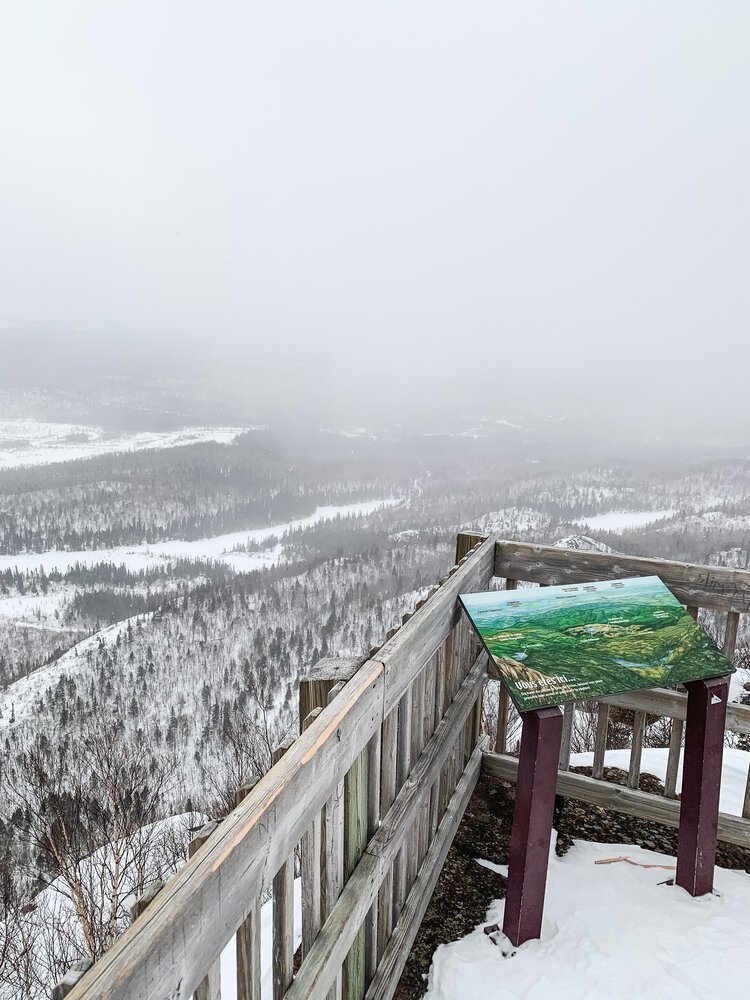 saguenay_lac-saint-jean_chien_onvasepromener_sentier_randonnée_activités (2).jpeg