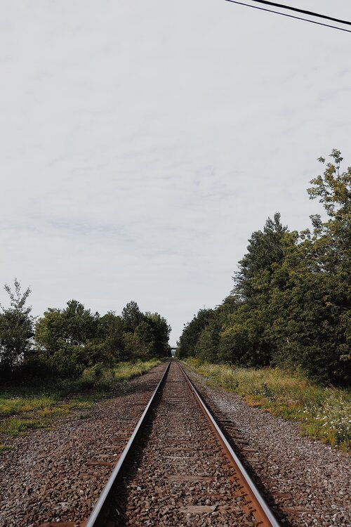 mauricie_chien_onvasepromener_sentier_randonnée_activités (9).jpg