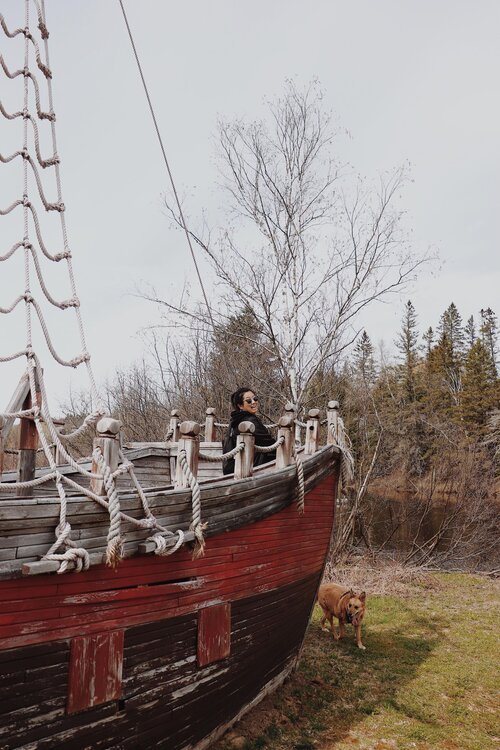 mauricie_chien_onvasepromener_sentier_randonnée_activités (6).jpg