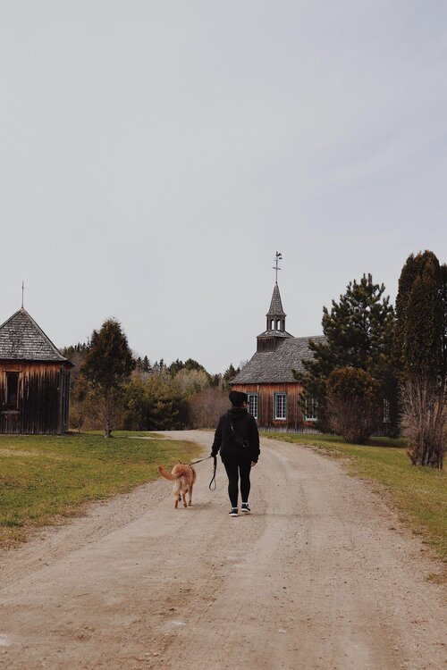 mauricie_chien_onvasepromener_sentier_randonnée_activités (7).jpg