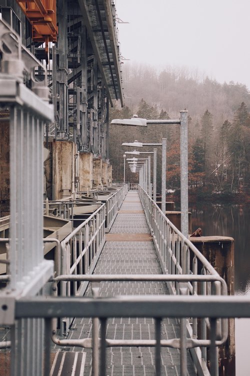 mauricie_chien_onvasepromener_sentier_randonnée_activités (18).jpg