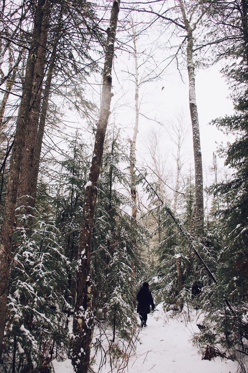 mauricie_chien_onvasepromener_sentier_randonnée_activités (21).jpg