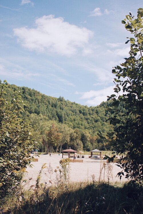 outaouais_chien_onvasepromener_sentier_randonnée (1).jpg