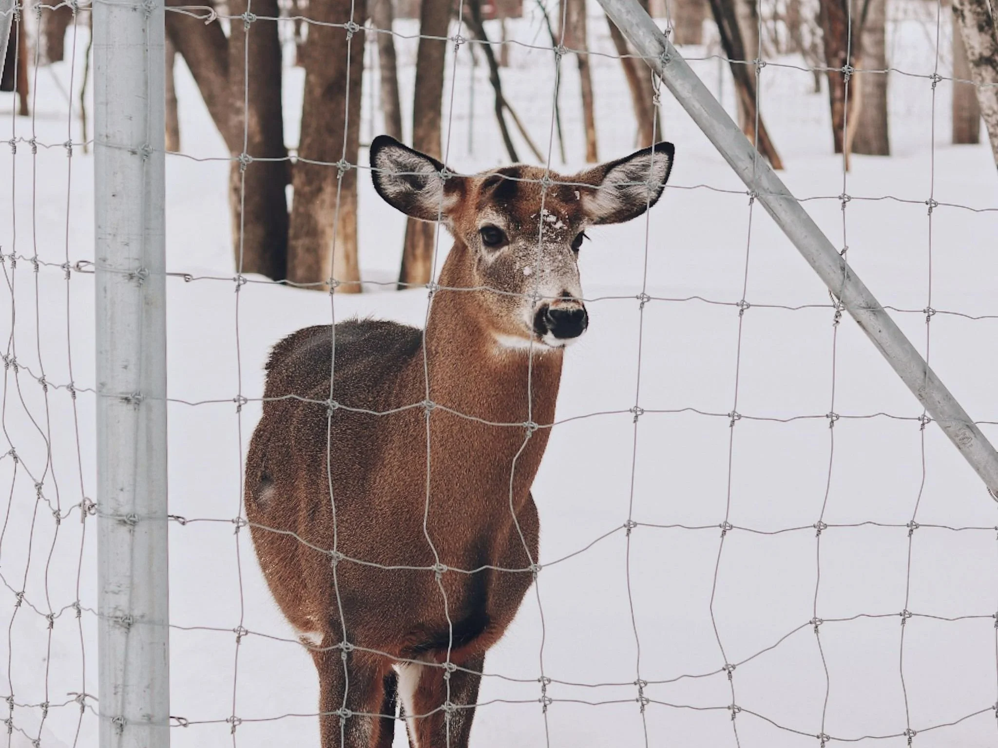 [C-d-Q, Bécancour] Centre de la Biodiversité du Québec