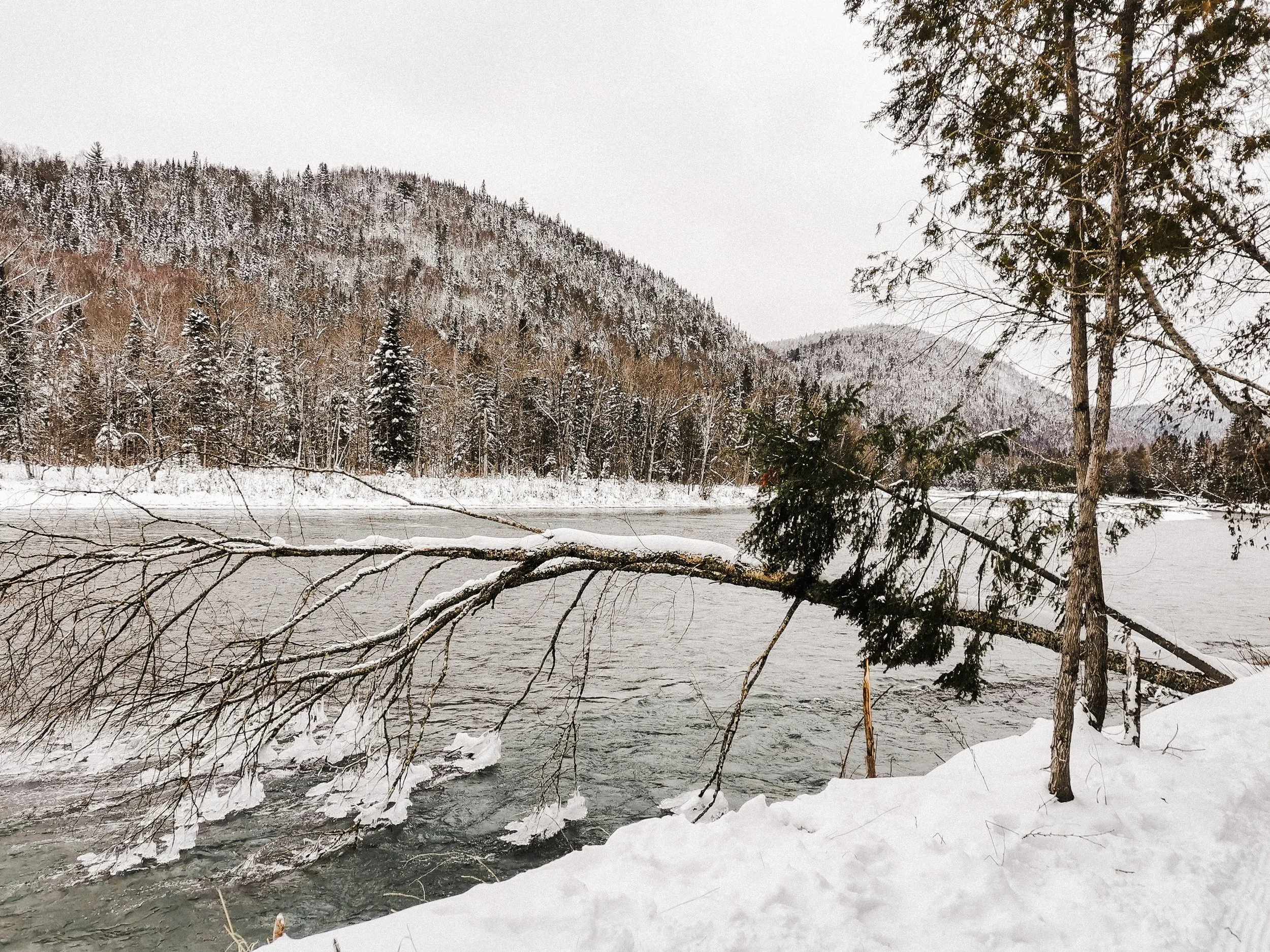 [Gaspésie, New Richmond] Station touristique Pin Rouge