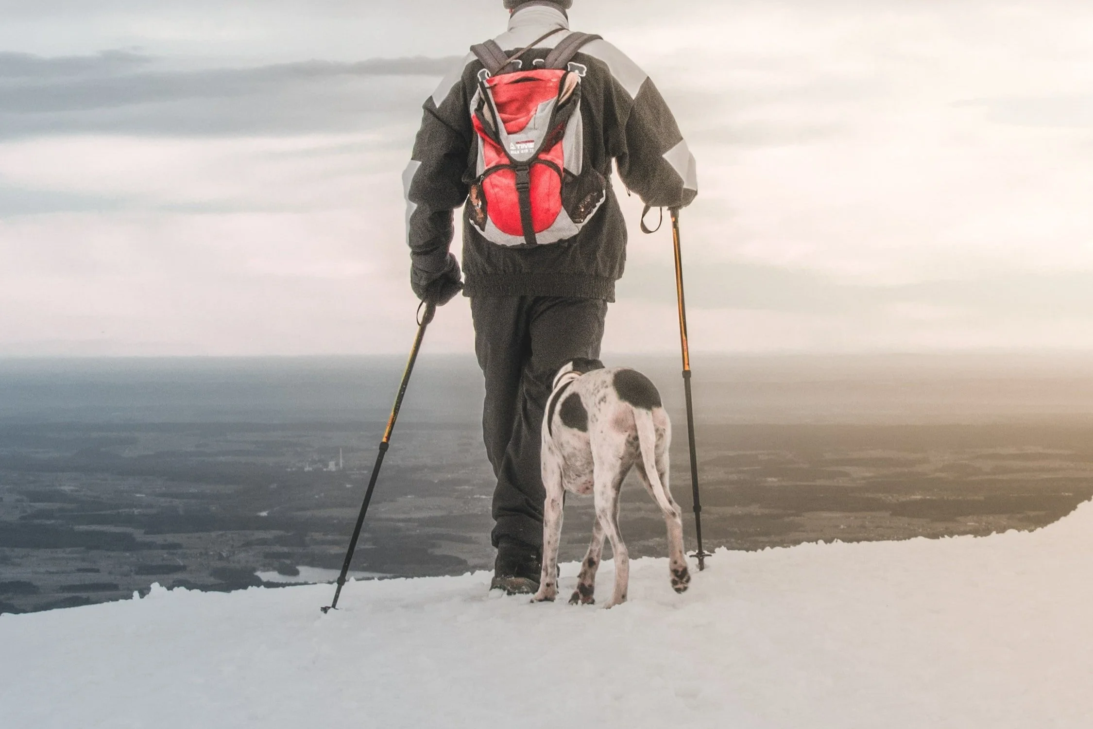 Randonnée alpine avec son chien (Ski-Touring)