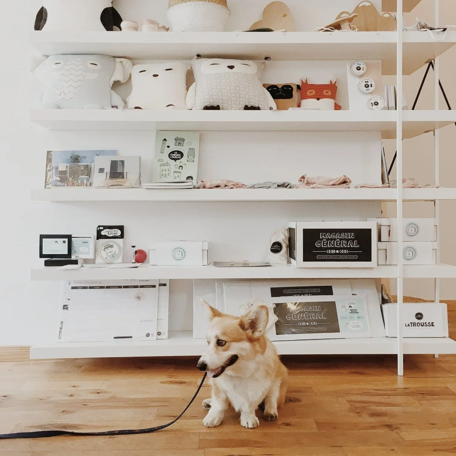 FERMÉ DEPUIS SEPTEMBRE 2023 [Laurentides, St-Thérèse] Inédit du Nord