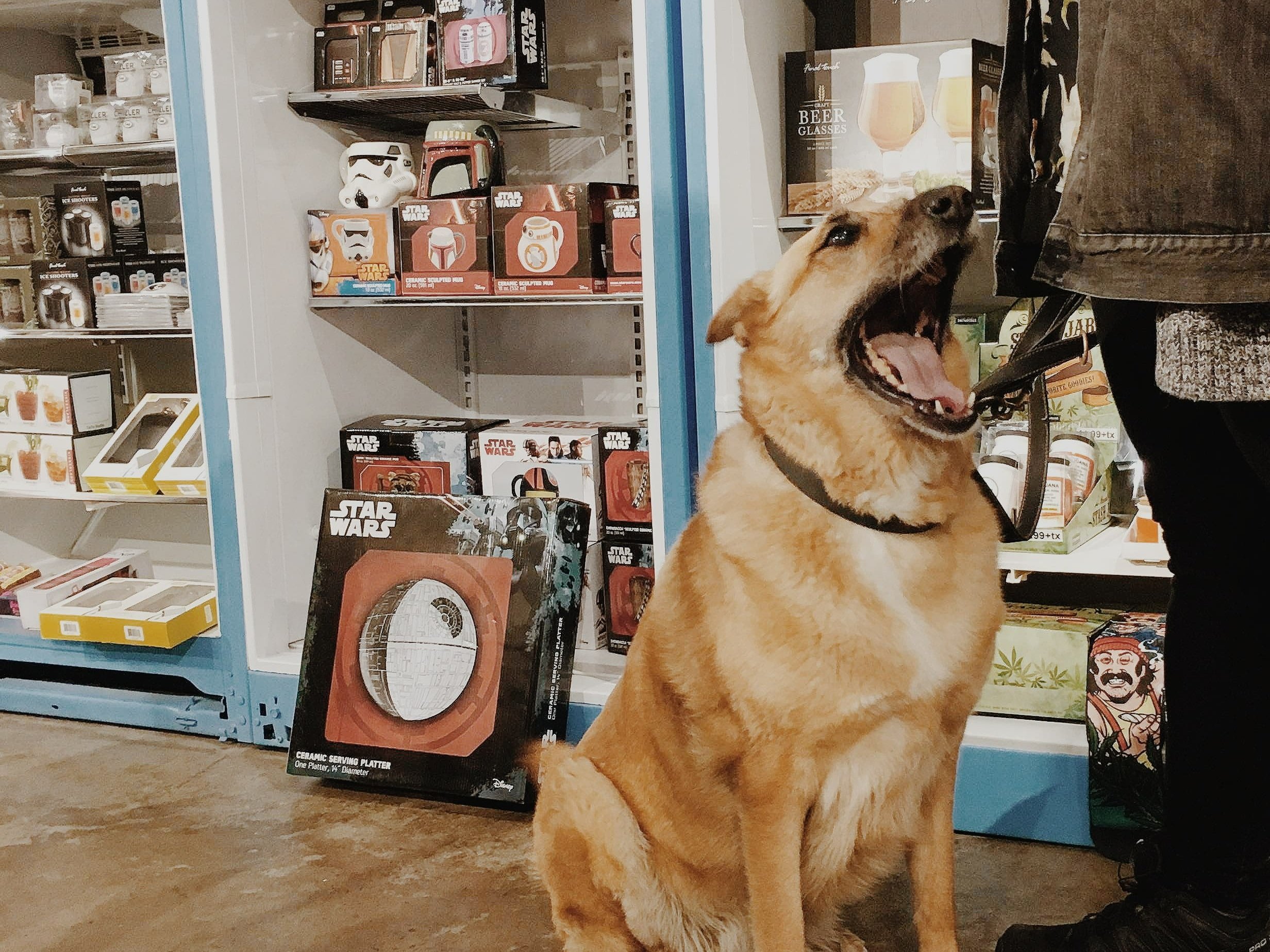 FERMÉ [Qc, Québec] Boutique l'Inventaire