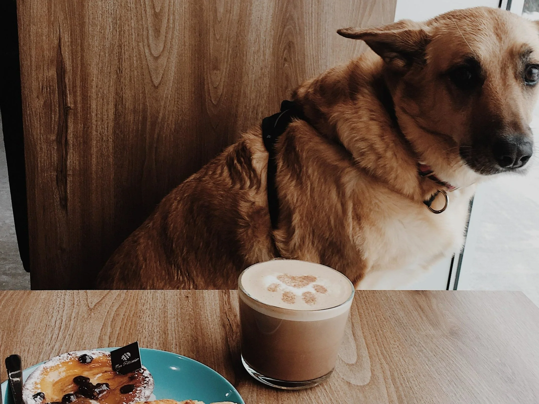 FERMÉ DEPUIS DÉCEMBRE 2023 [Mauricie, Trois-Rivières] Café Mordant