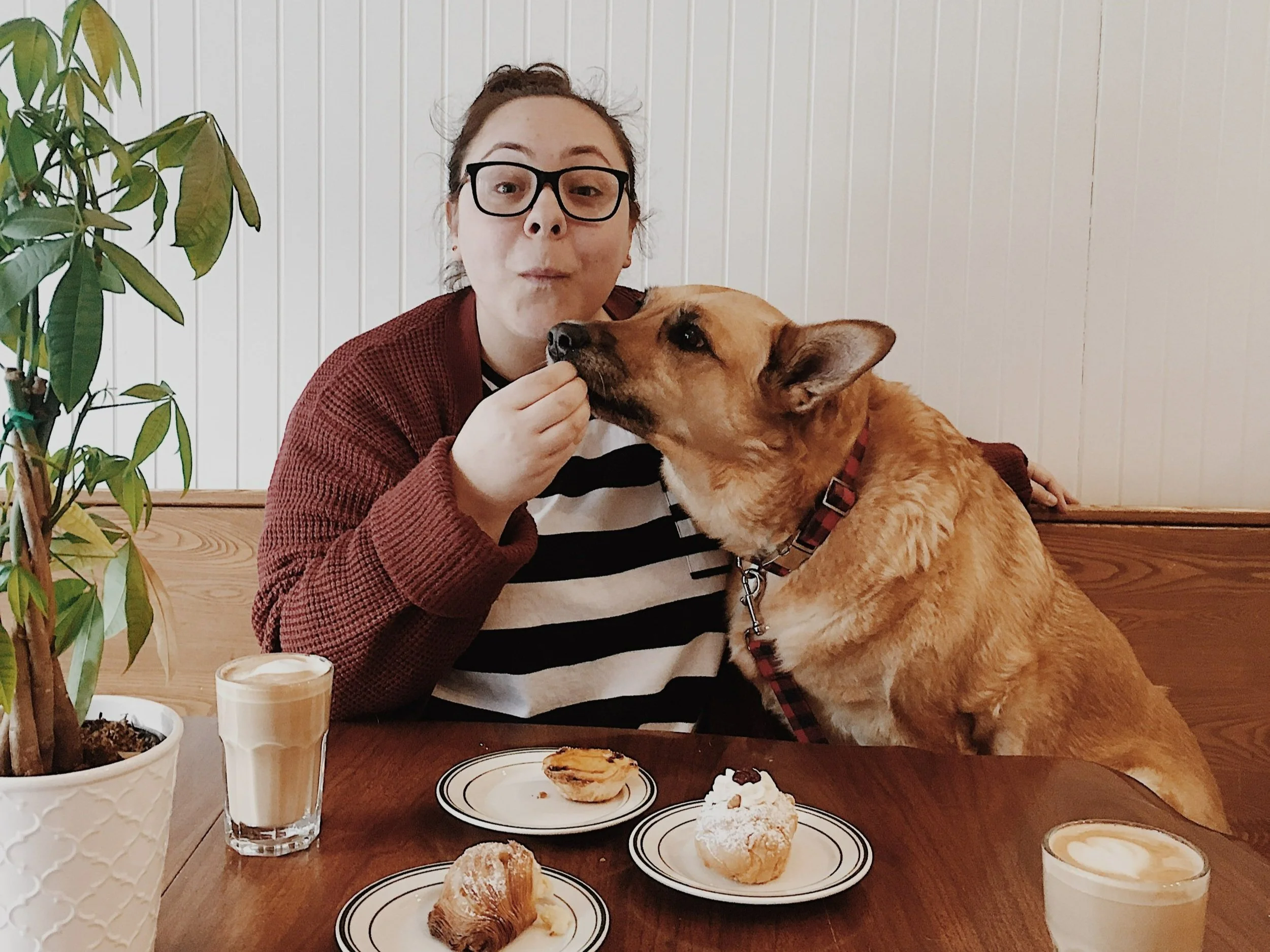 [Mtl, Pointe-Saint-Charles] Clarke Café - CHIENS INTERDITS