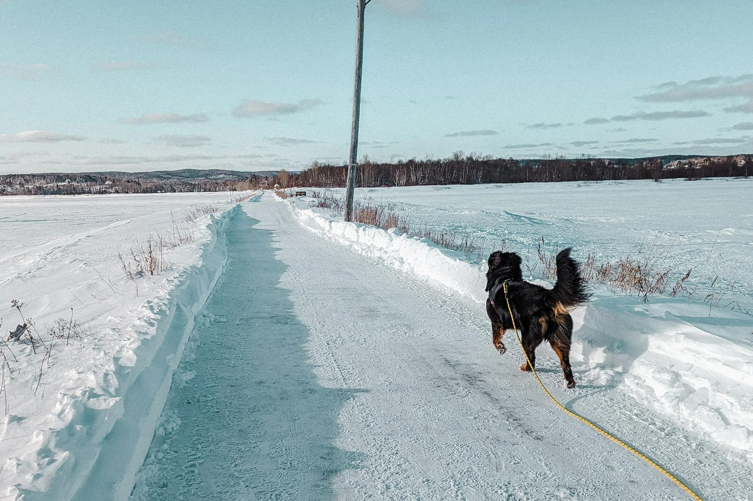 [Gaspésie, Chandler] Circuit de la digue