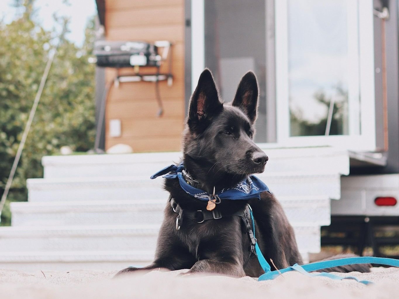 [Côte-Nord, Havre-Saint-Pierre] Chalets Didoche
