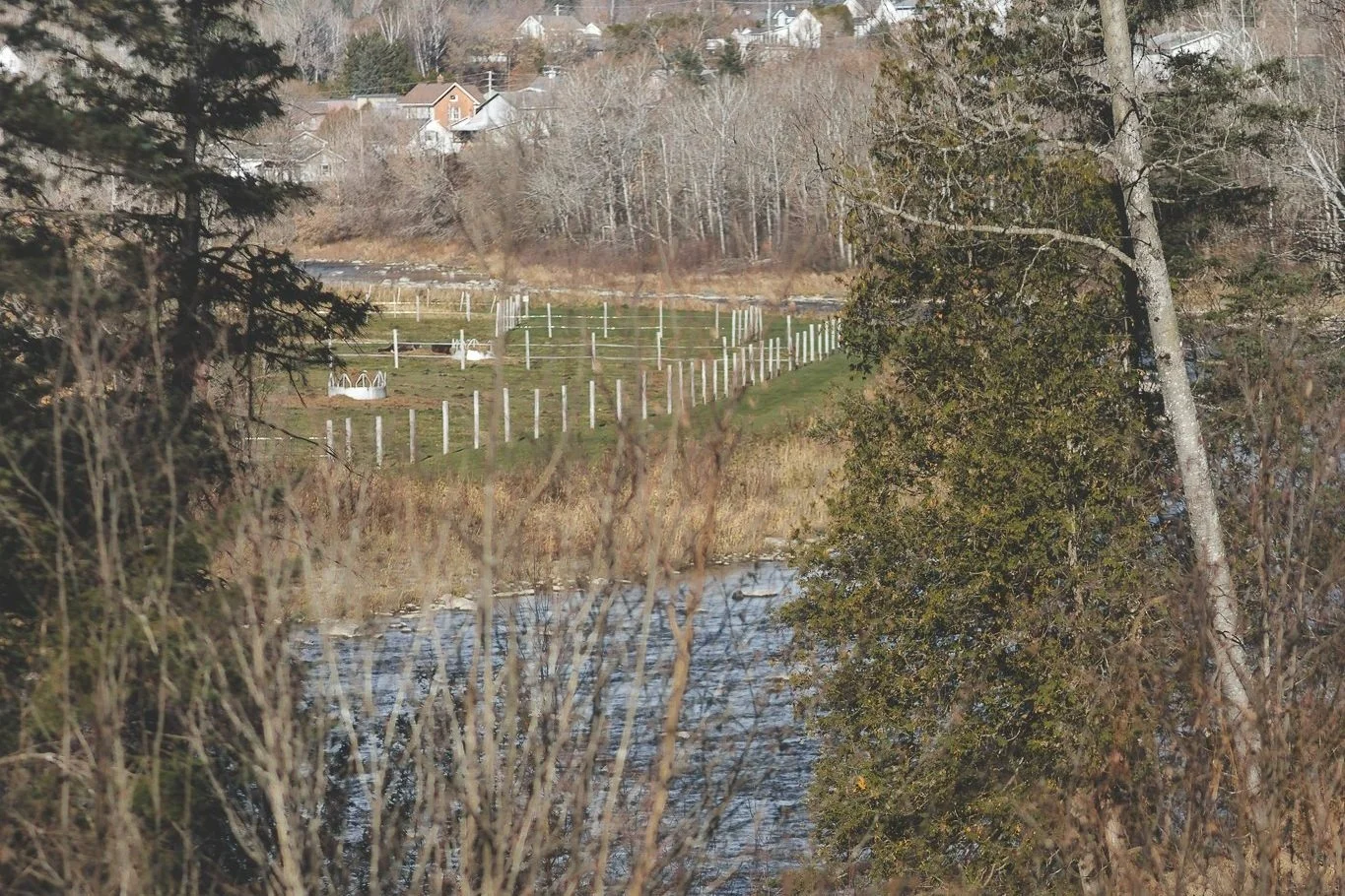 [Chaud.-Appalaches, Saint-Côme linière] Sentiers de marche