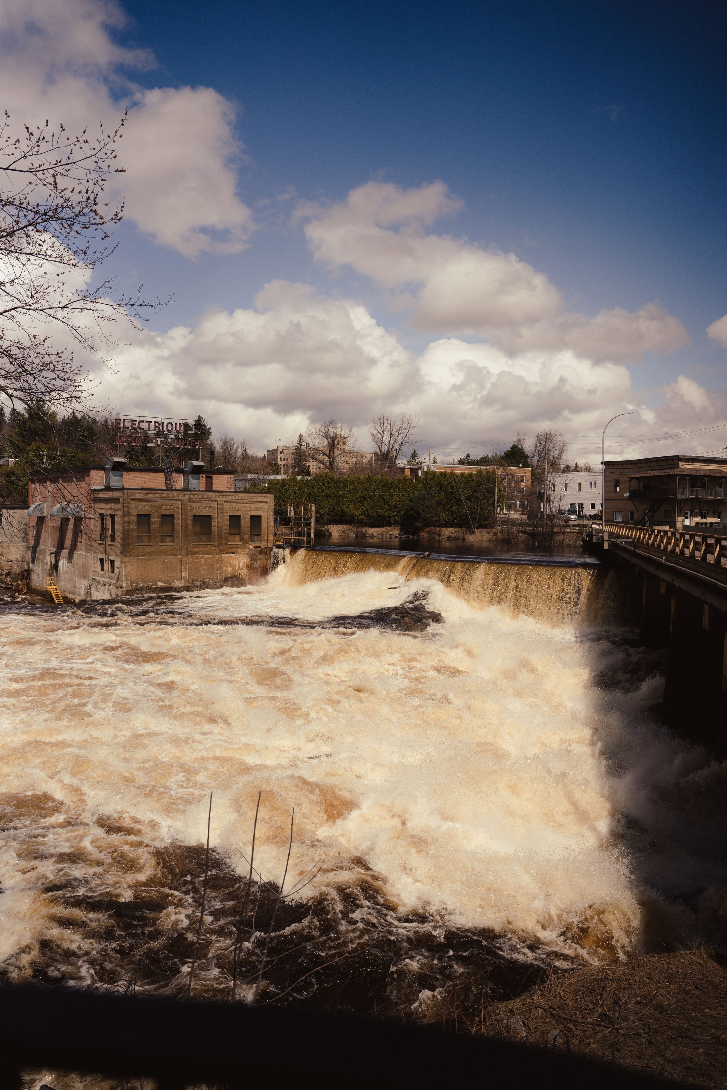 onvasepromener_montlaurier_chien_laurentides (2).jpg