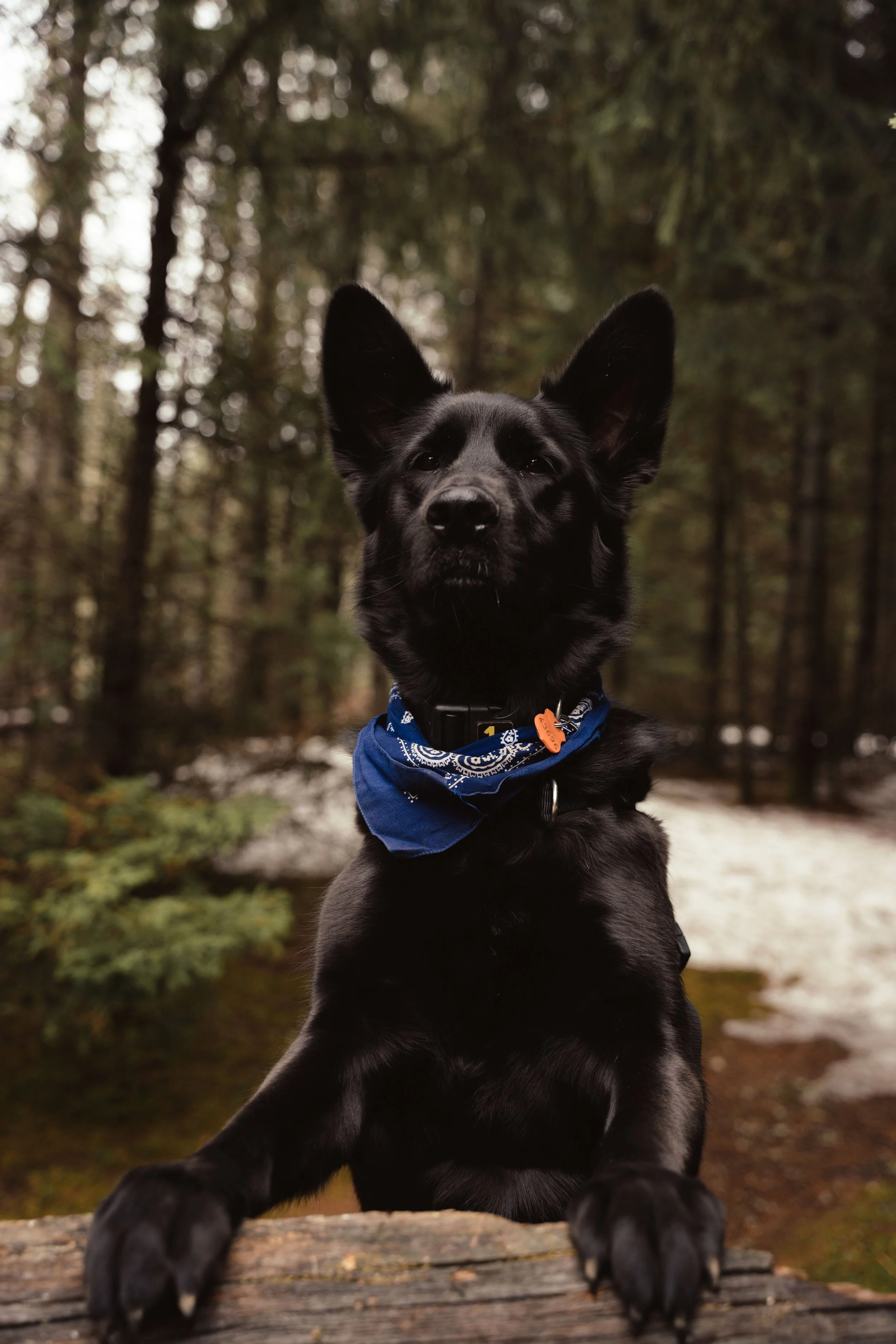 [Laurentides, L'Ascension] Parc de la source — On va se promener?
