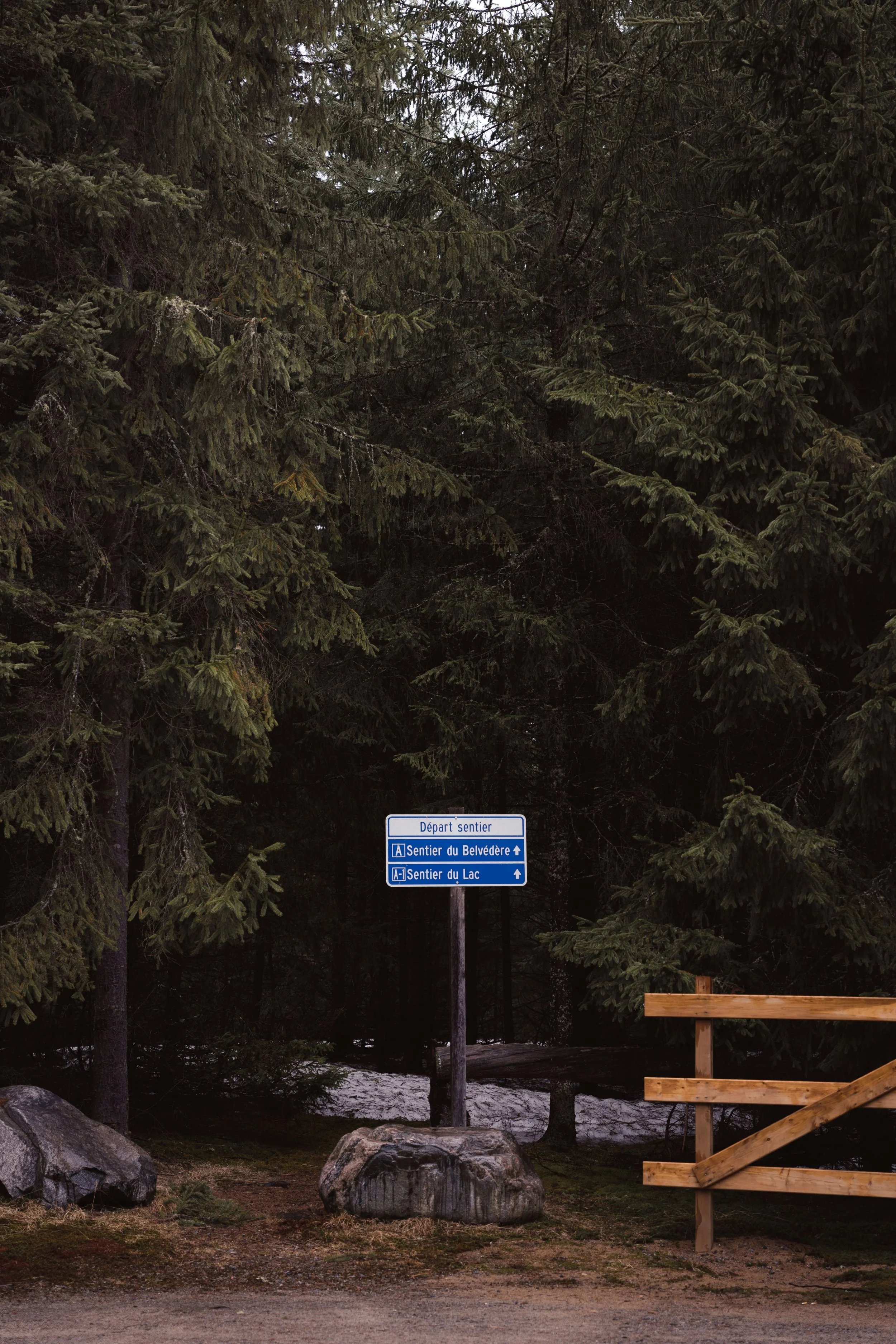 [Laurentides, L'Ascension] Parc de la source — On va se promener?
