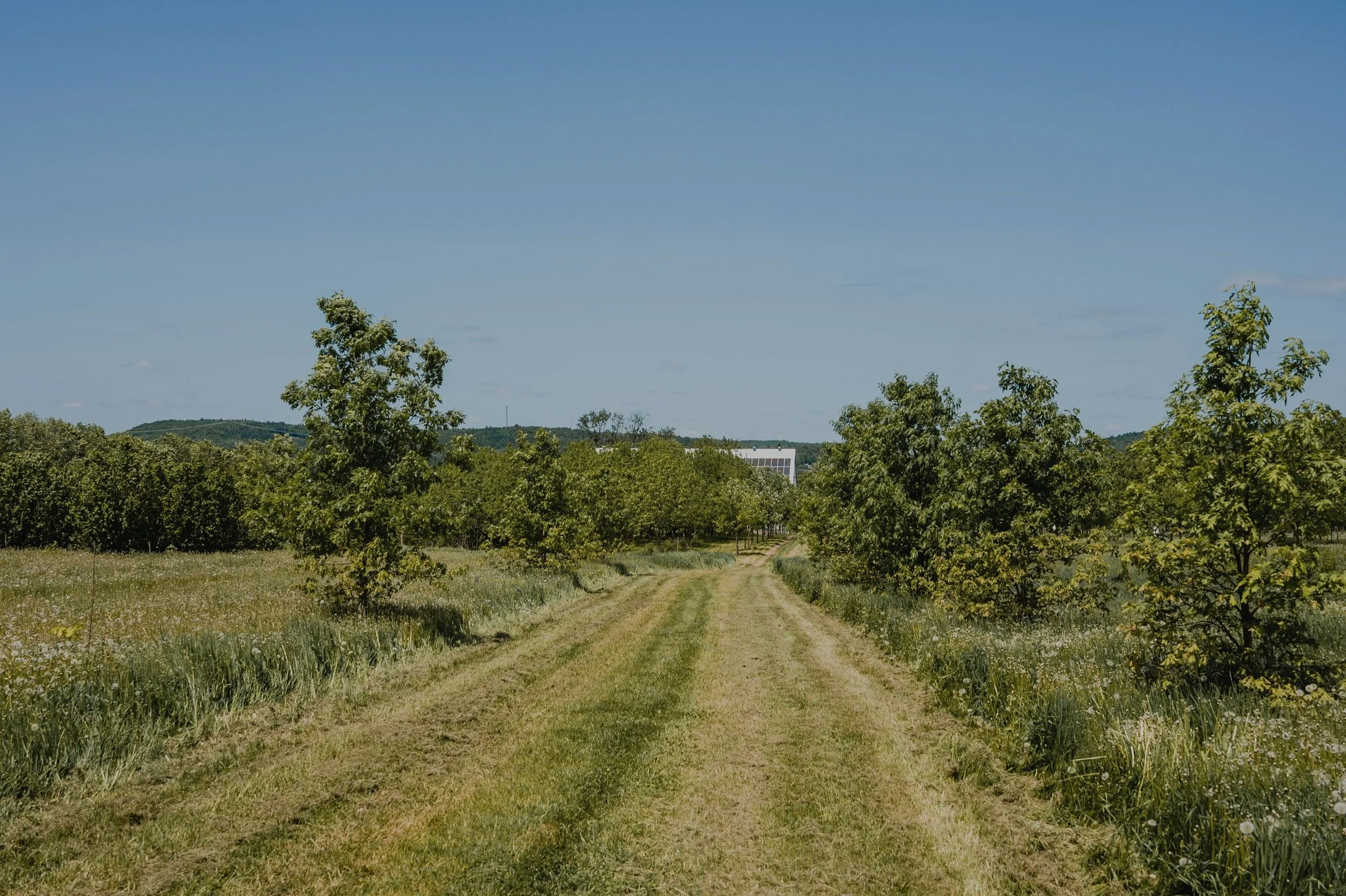 [Lanaudière, Saint-Ambroise-de-Kildare] Au Jardin Des Noix