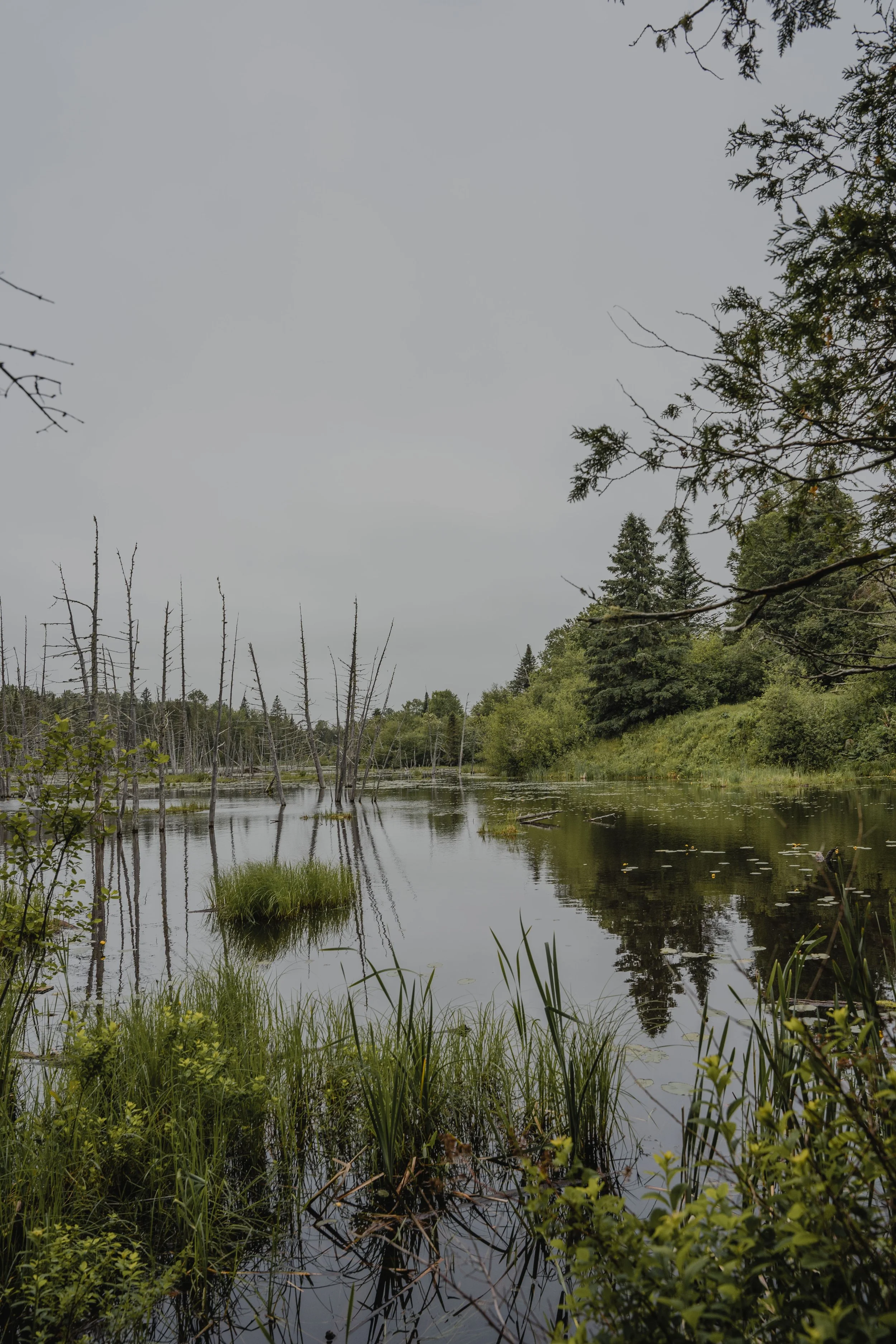 [NB, Mactaquac] Beaver Pond Trail Mactaquac Provincial Park — On va se