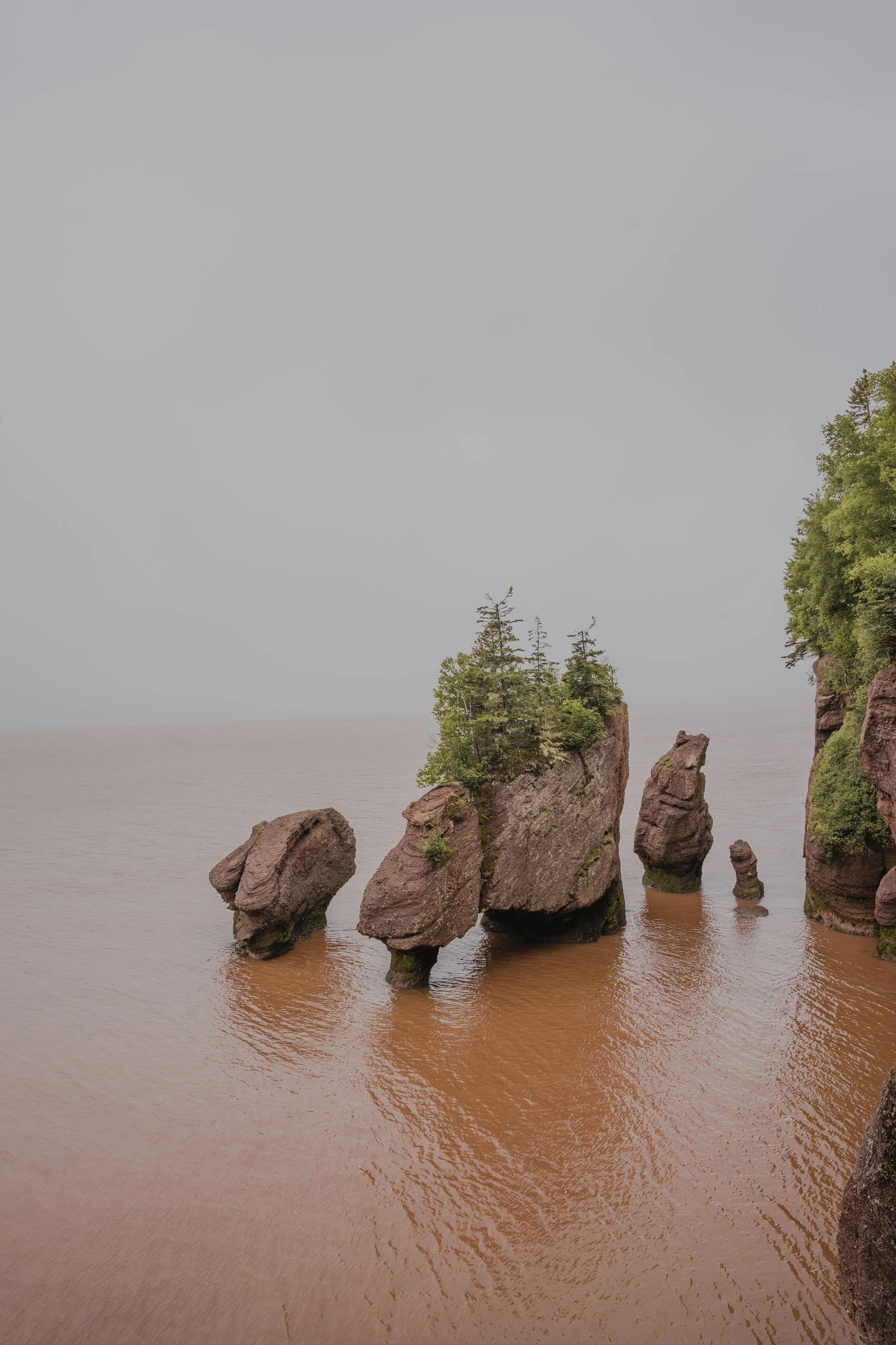 [NB, Hopewell Cape] Hopewell Rocks Provincial Park — On va se promener