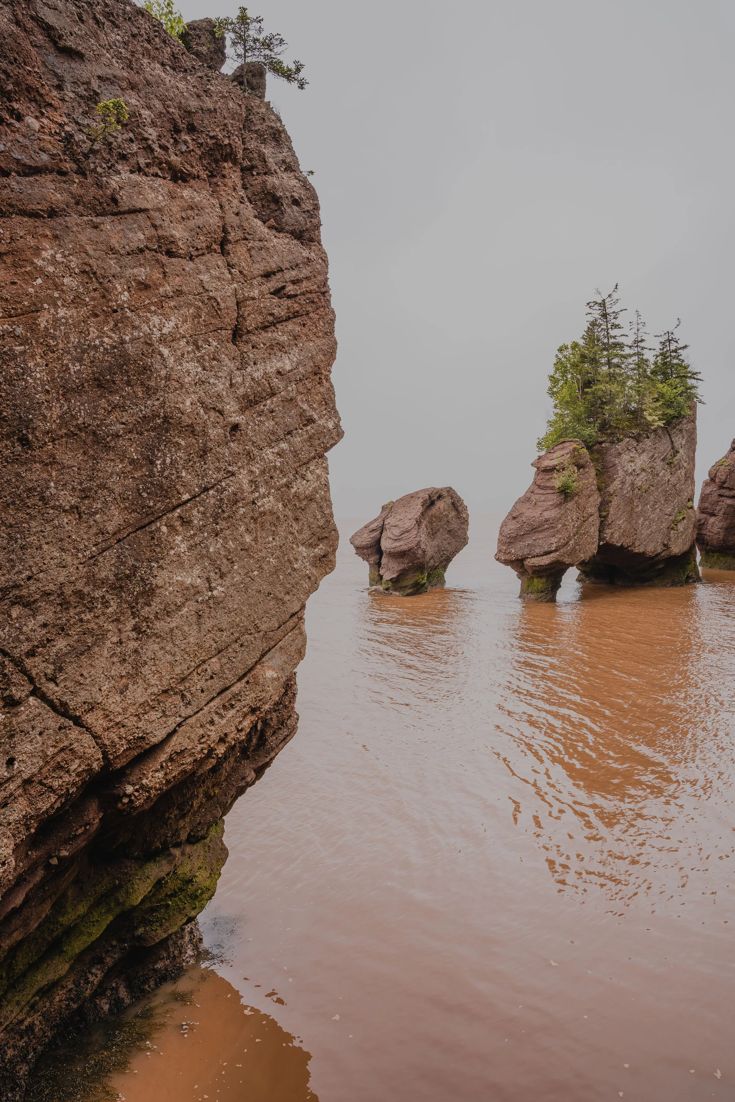 [NB, Hopewell Cape] Hopewell Rocks Provincial Park — On va se promener