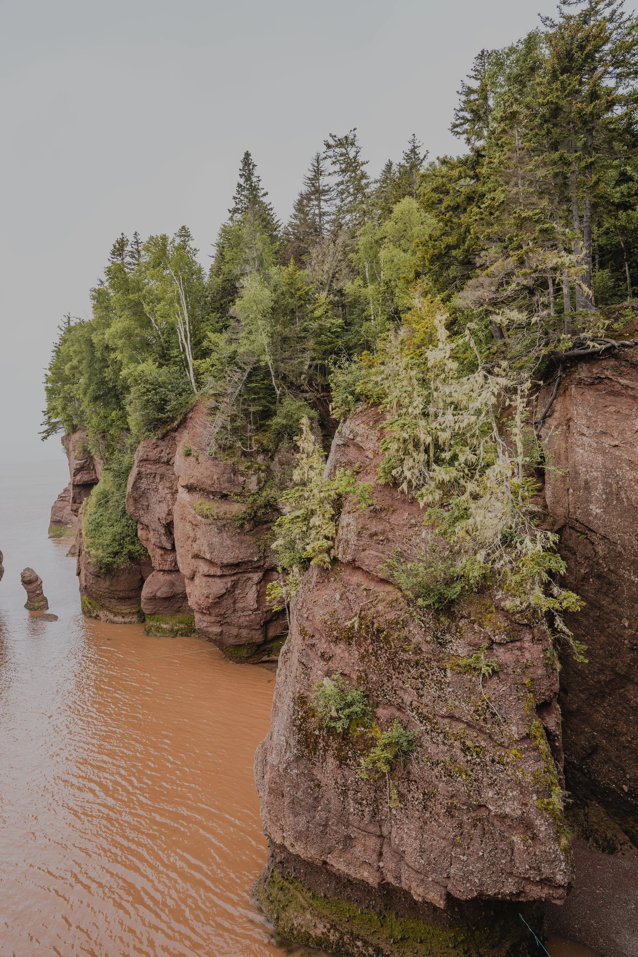 [NB, Hopewell Cape] Hopewell Rocks Provincial Park — On va se promener