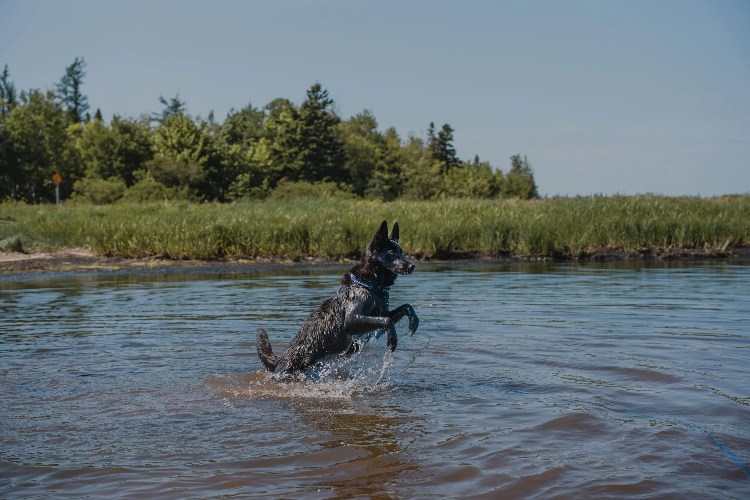 [NB, Losier Settlement] Dock du chemin de la baie — On va se promener?