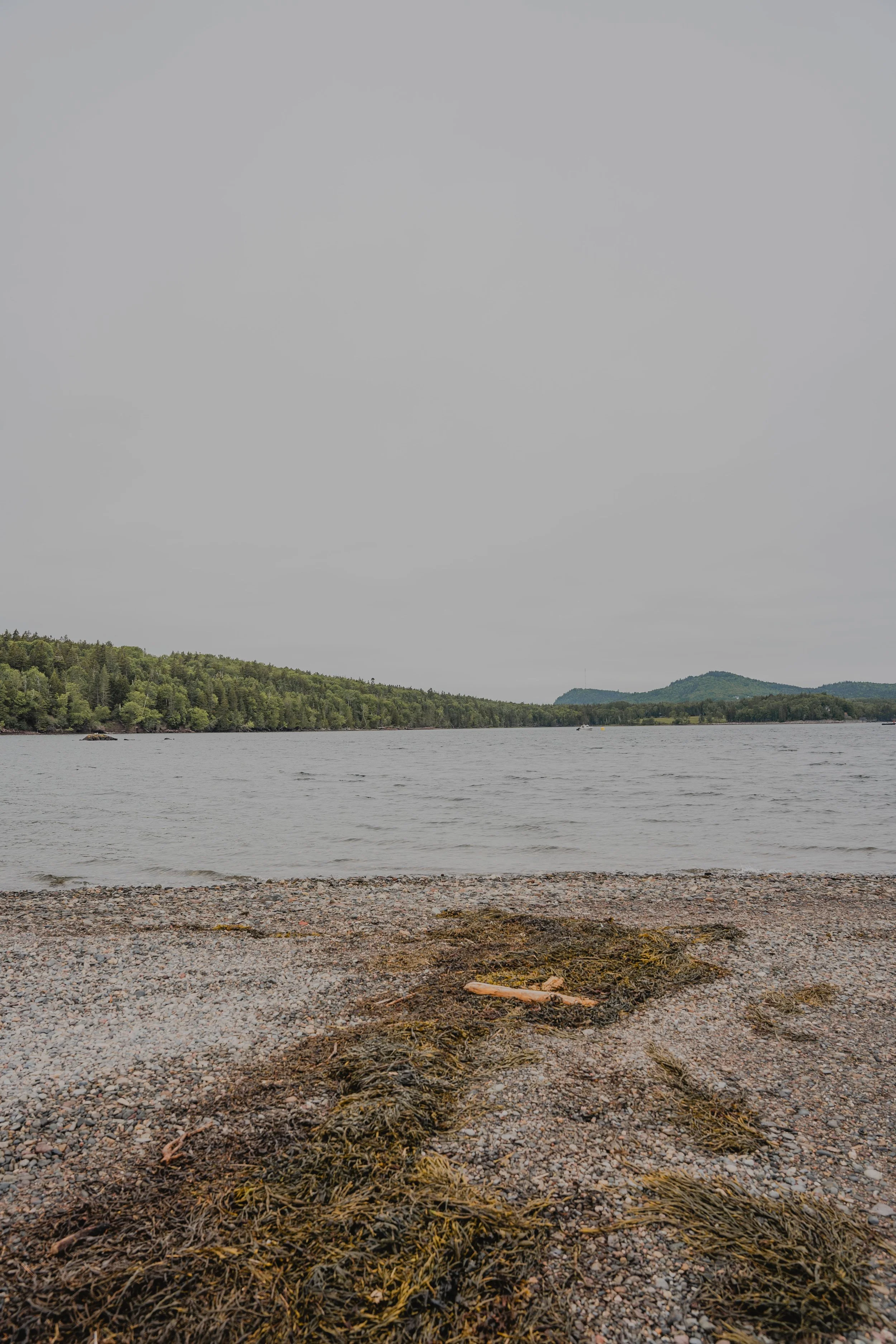 [NB, St. Andrews] Ministers Island Gravel Bar — On va se promener?