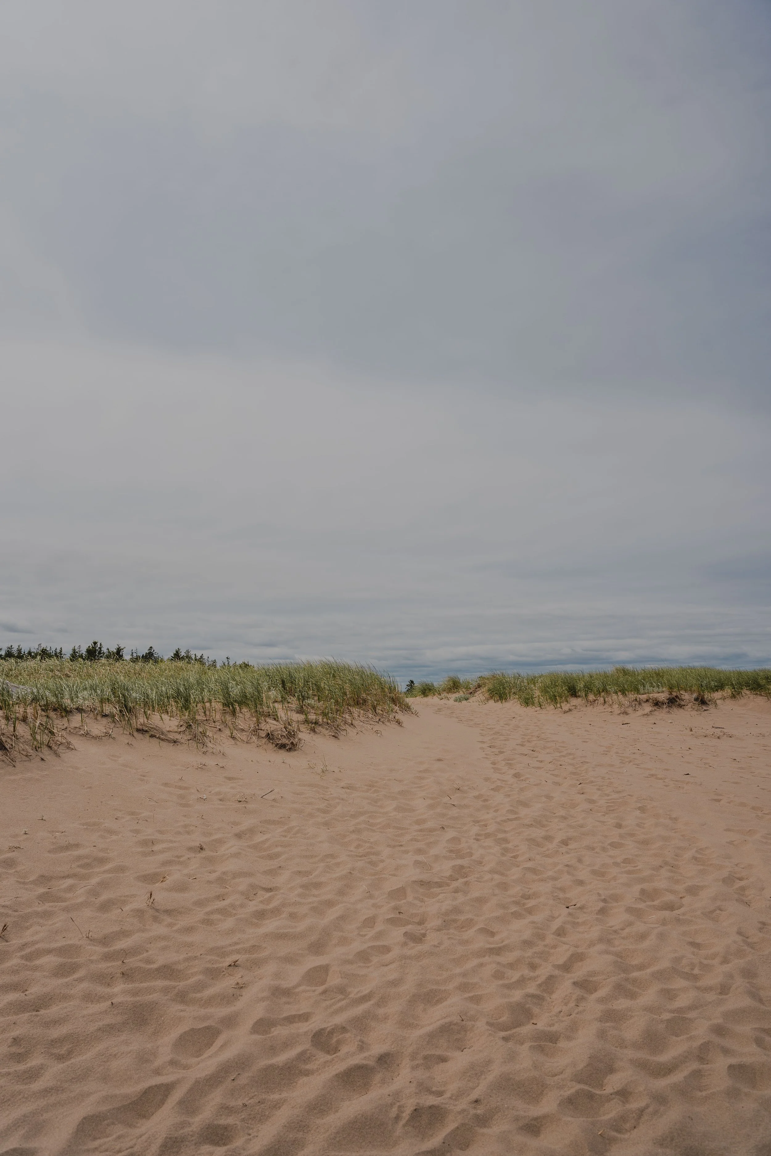 [NB, RichibuctoVillage] Plage Cap Lumière — On va se promener?