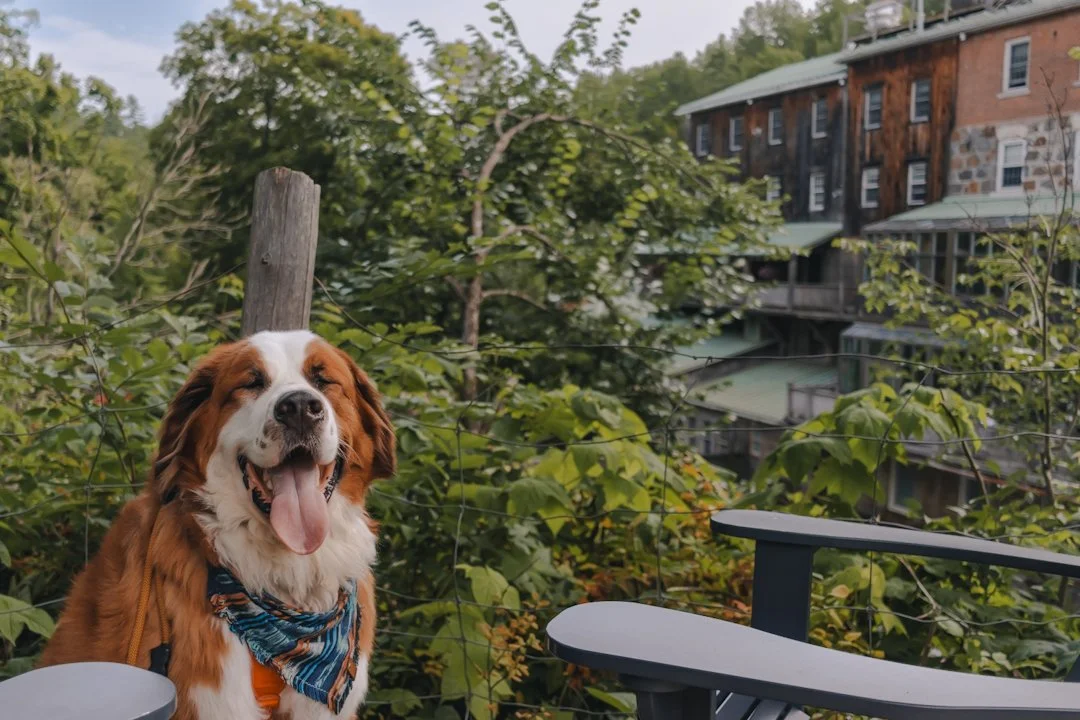 [Outaouais, Wakefield] Moulin Wakefield Mill Hôtel &amp; Spa