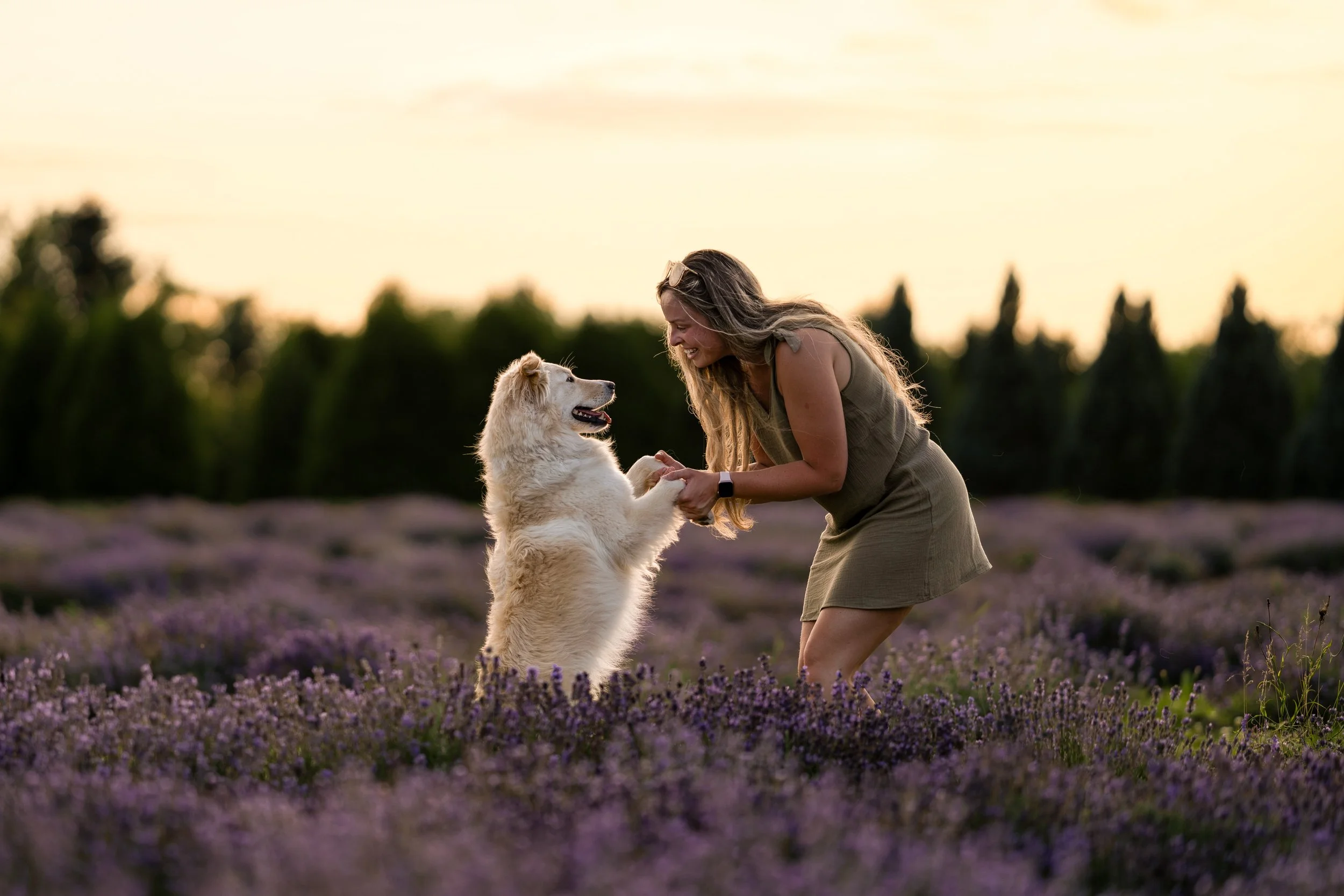 [Québec, Île d'Orléans] La Seigneurie de l’île d’Orléans